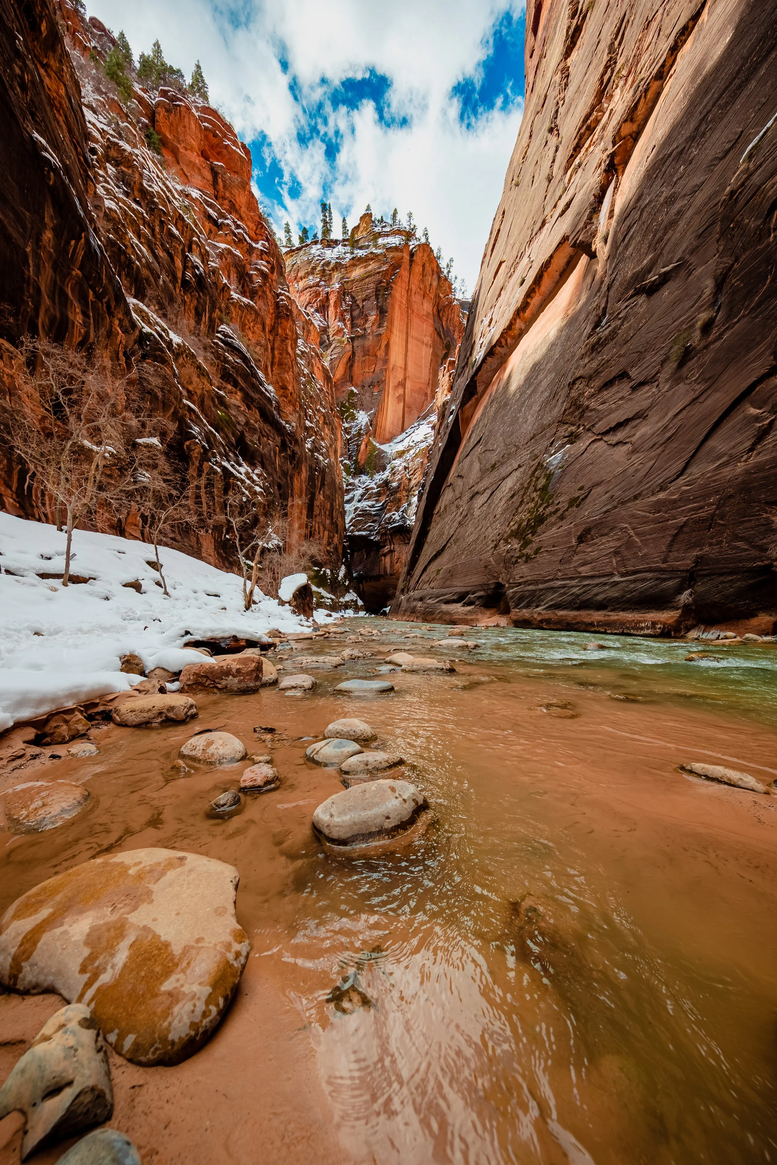 Zion National Park-5.jpg