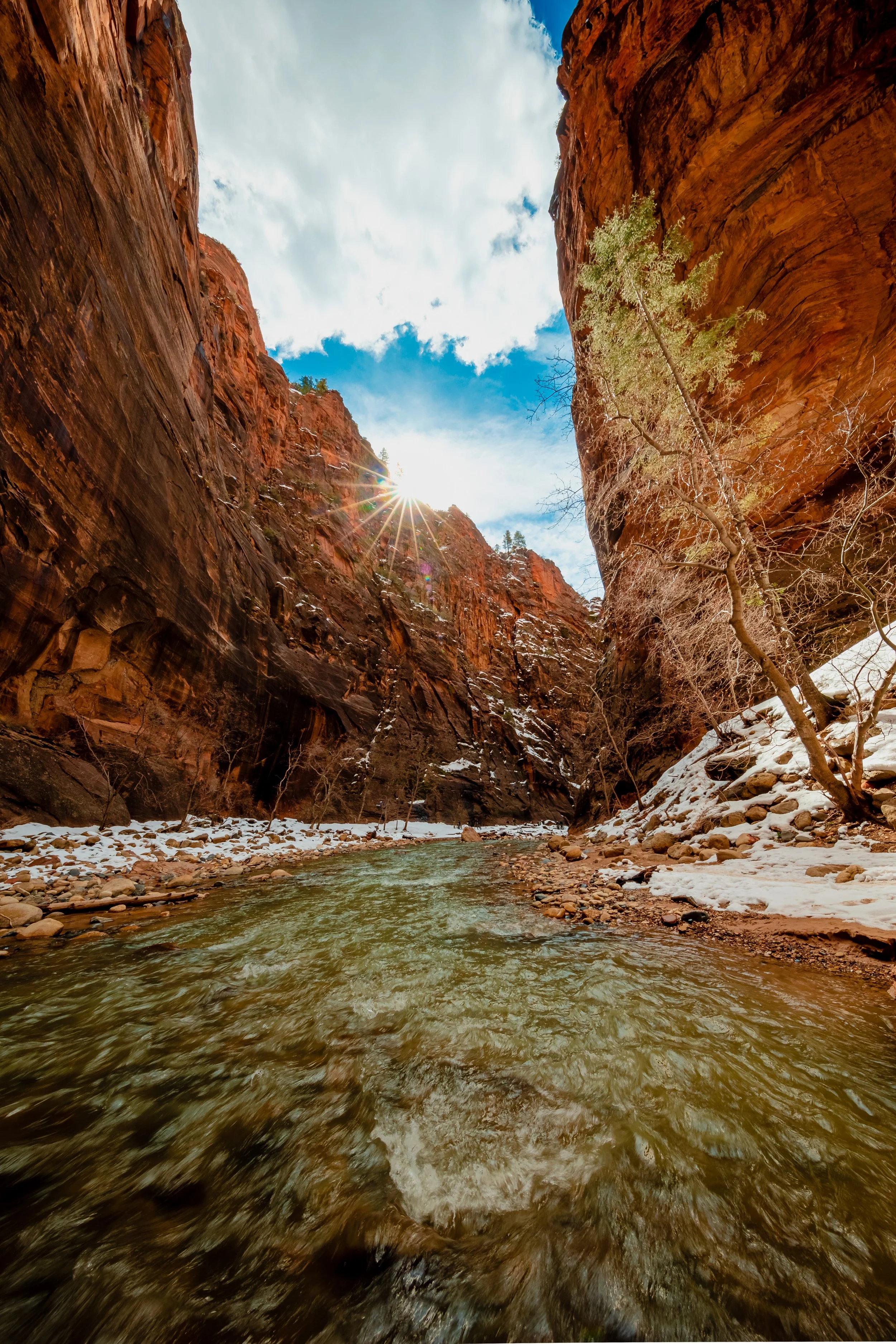 Zion National Park-8.jpg