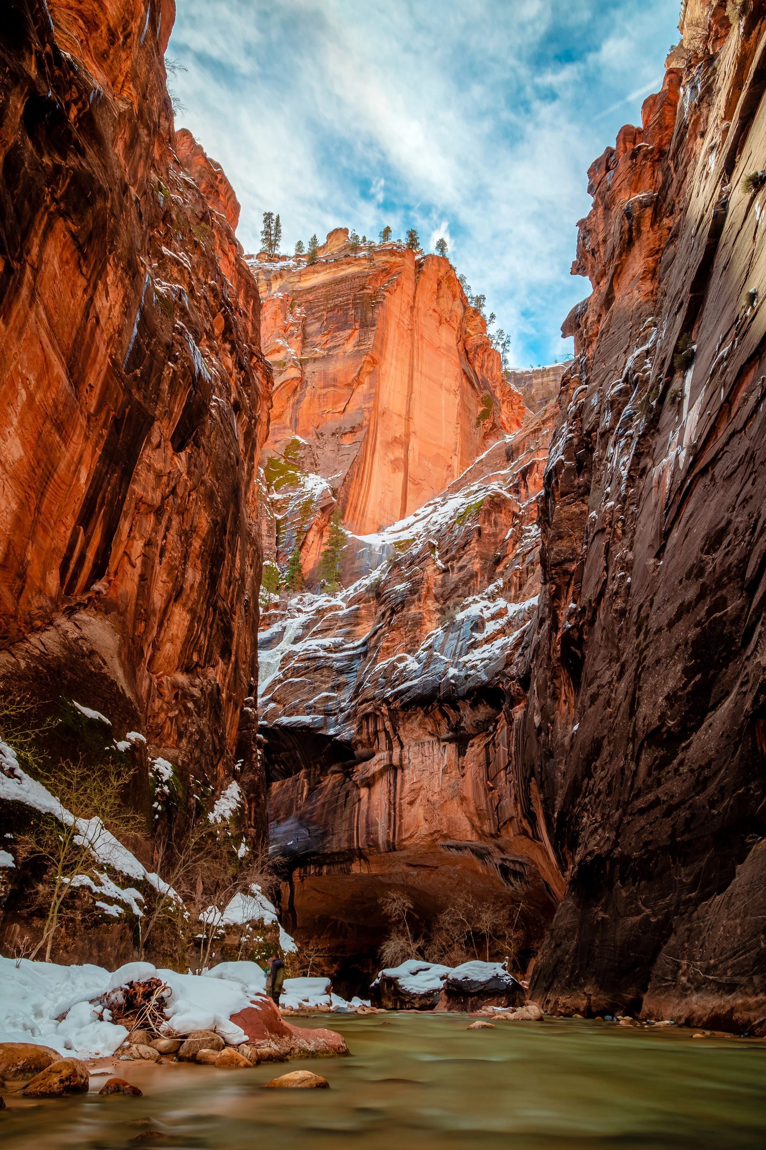 Zion National Park-14.jpg