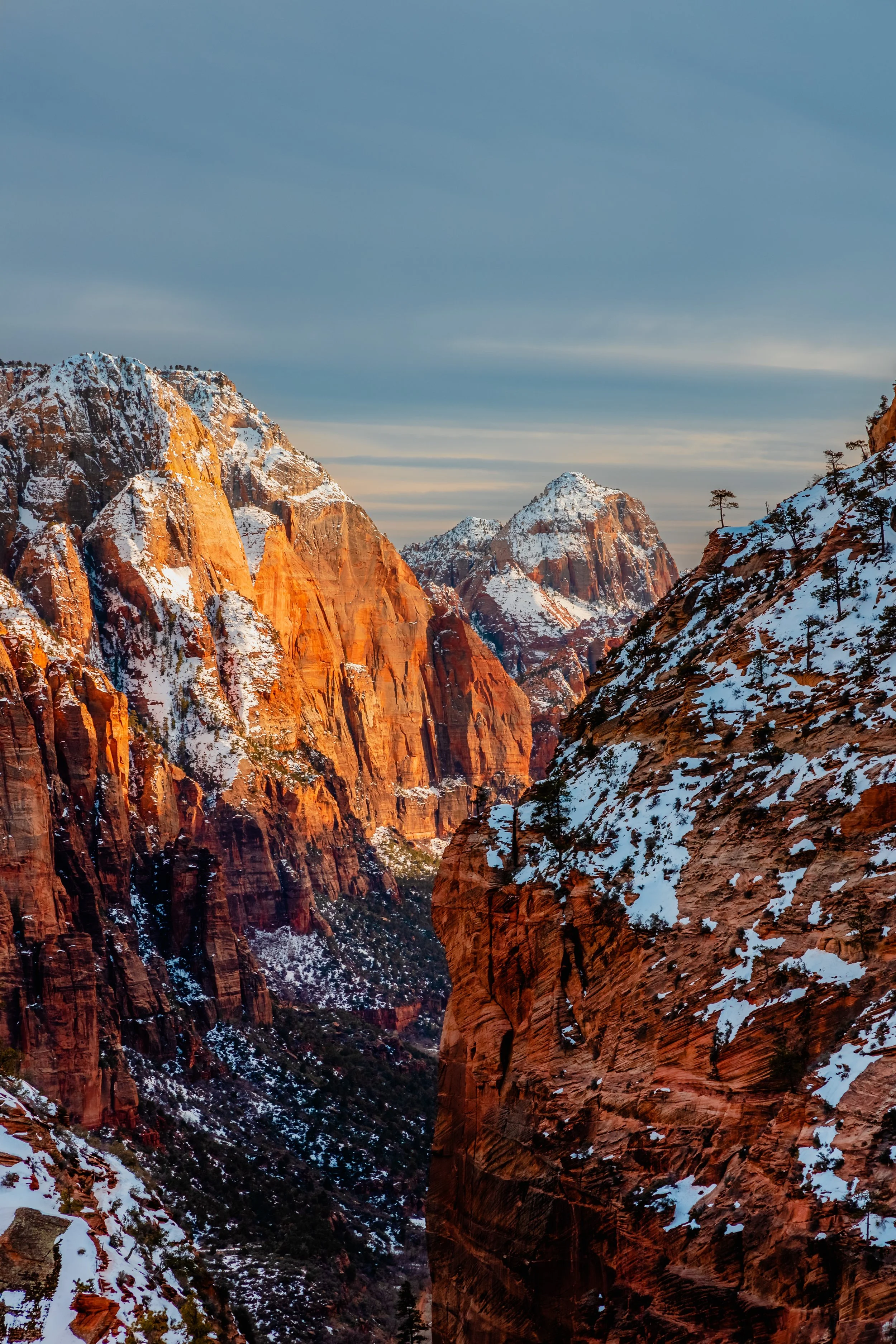 Zion National Park-22.jpg