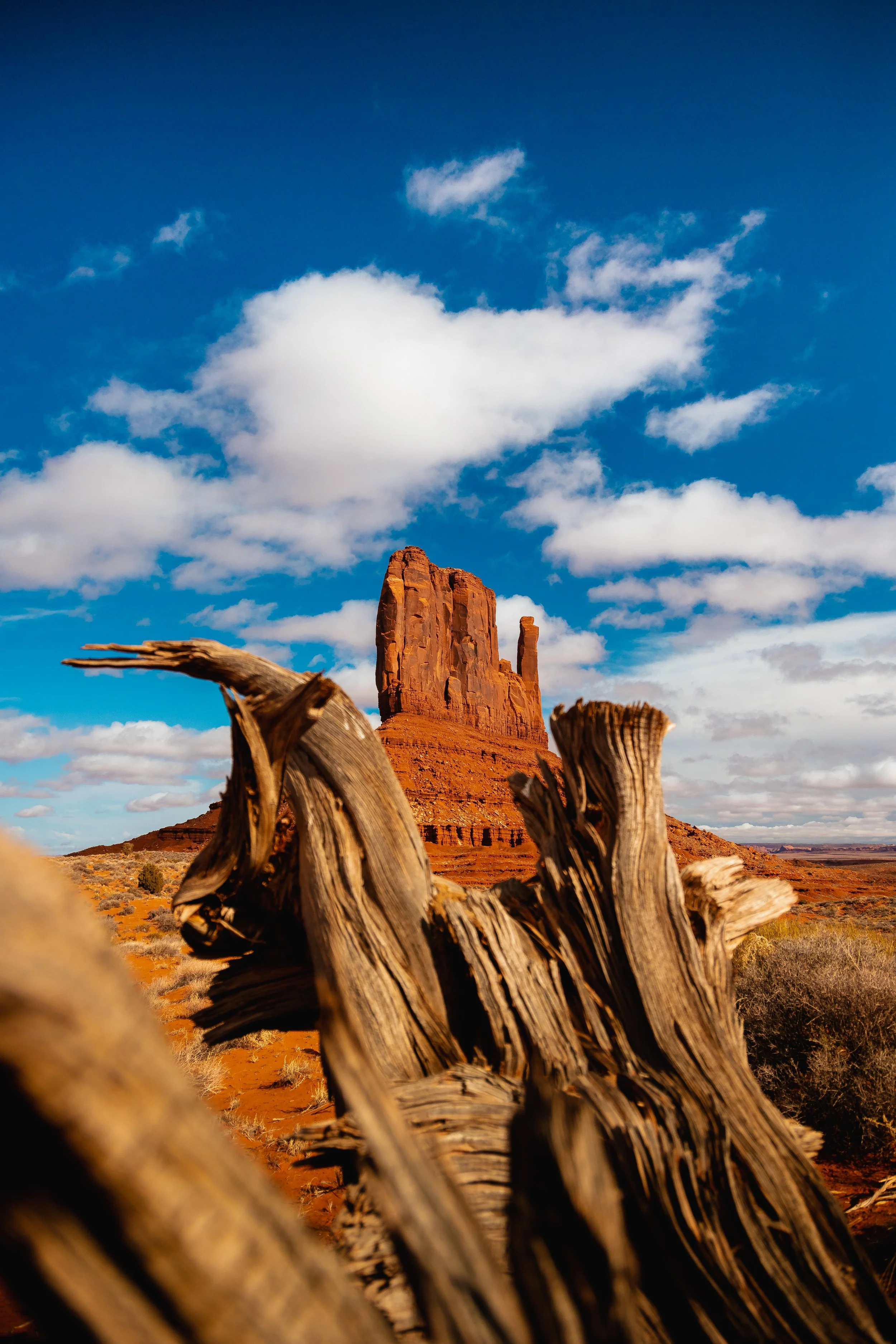 Monument Valley-50.jpg