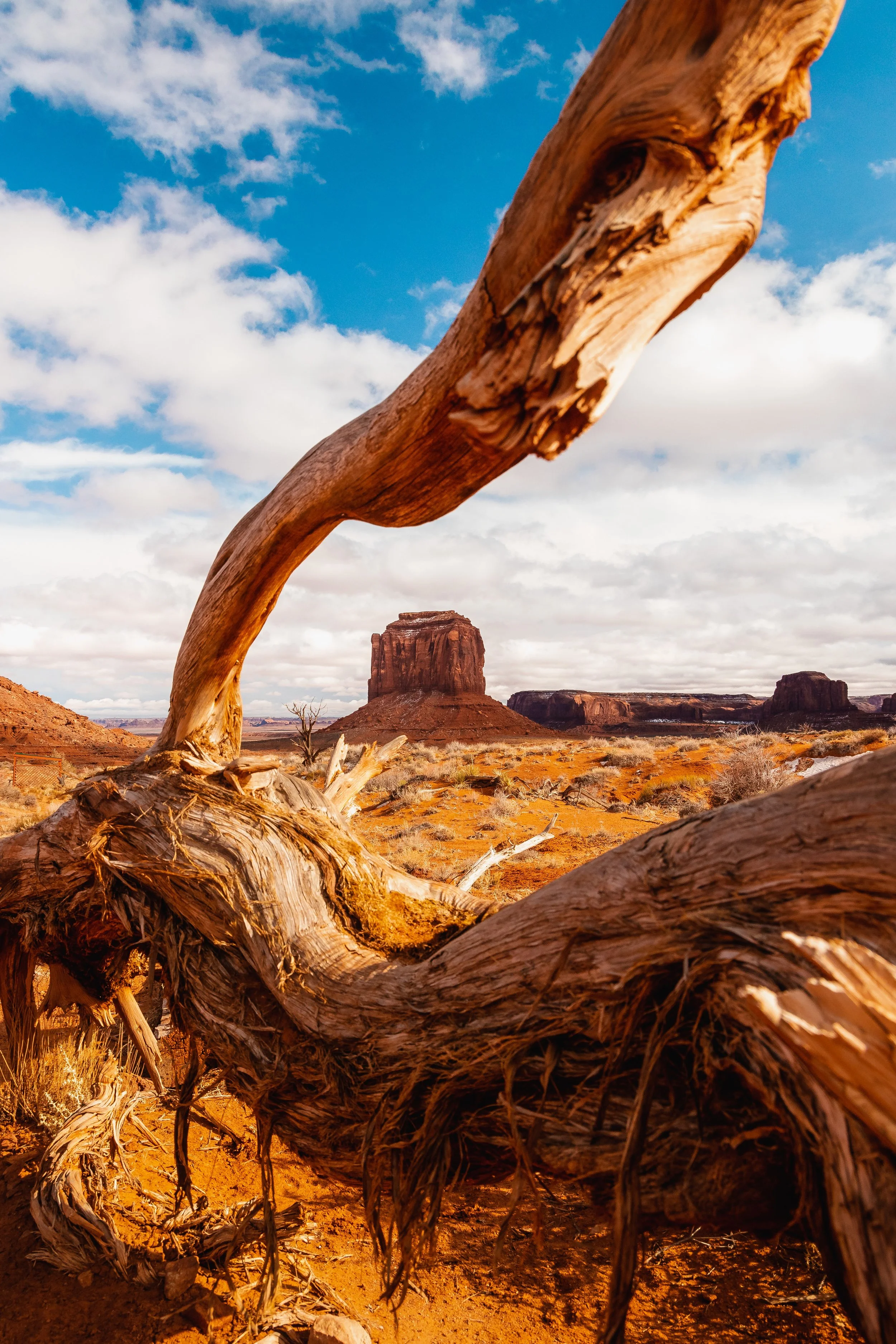 Monument Valley-57.jpg