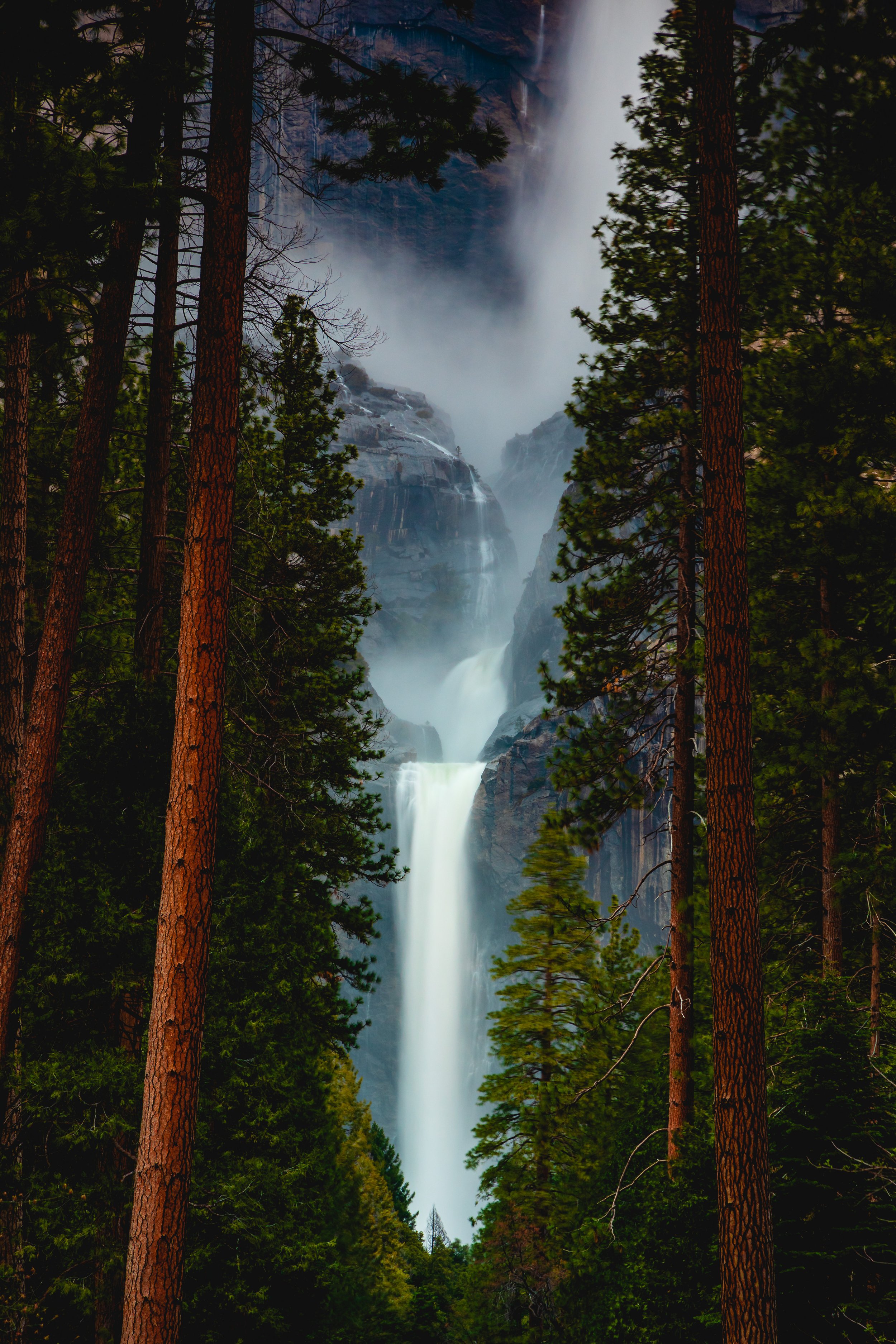 Yosemite National Park-133.jpg