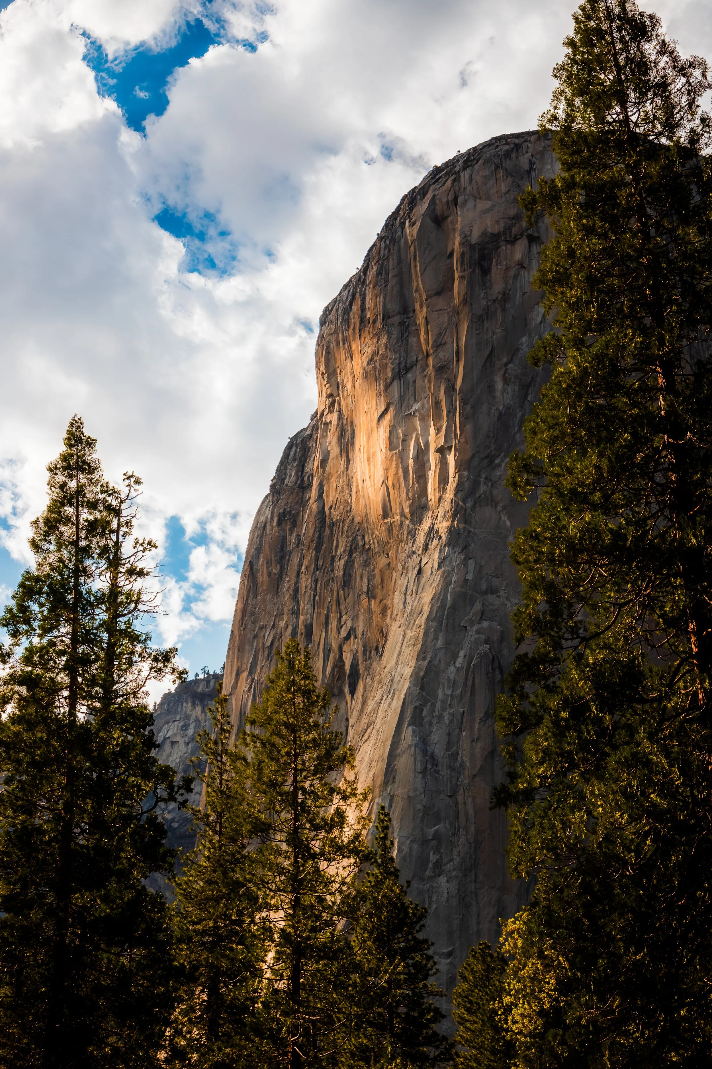Yosemite National Park-128.jpg