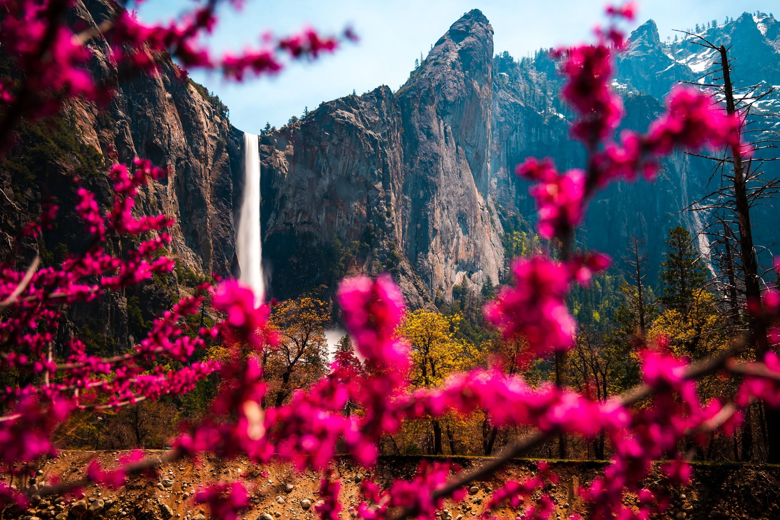 Yosemite National Park-154.jpg