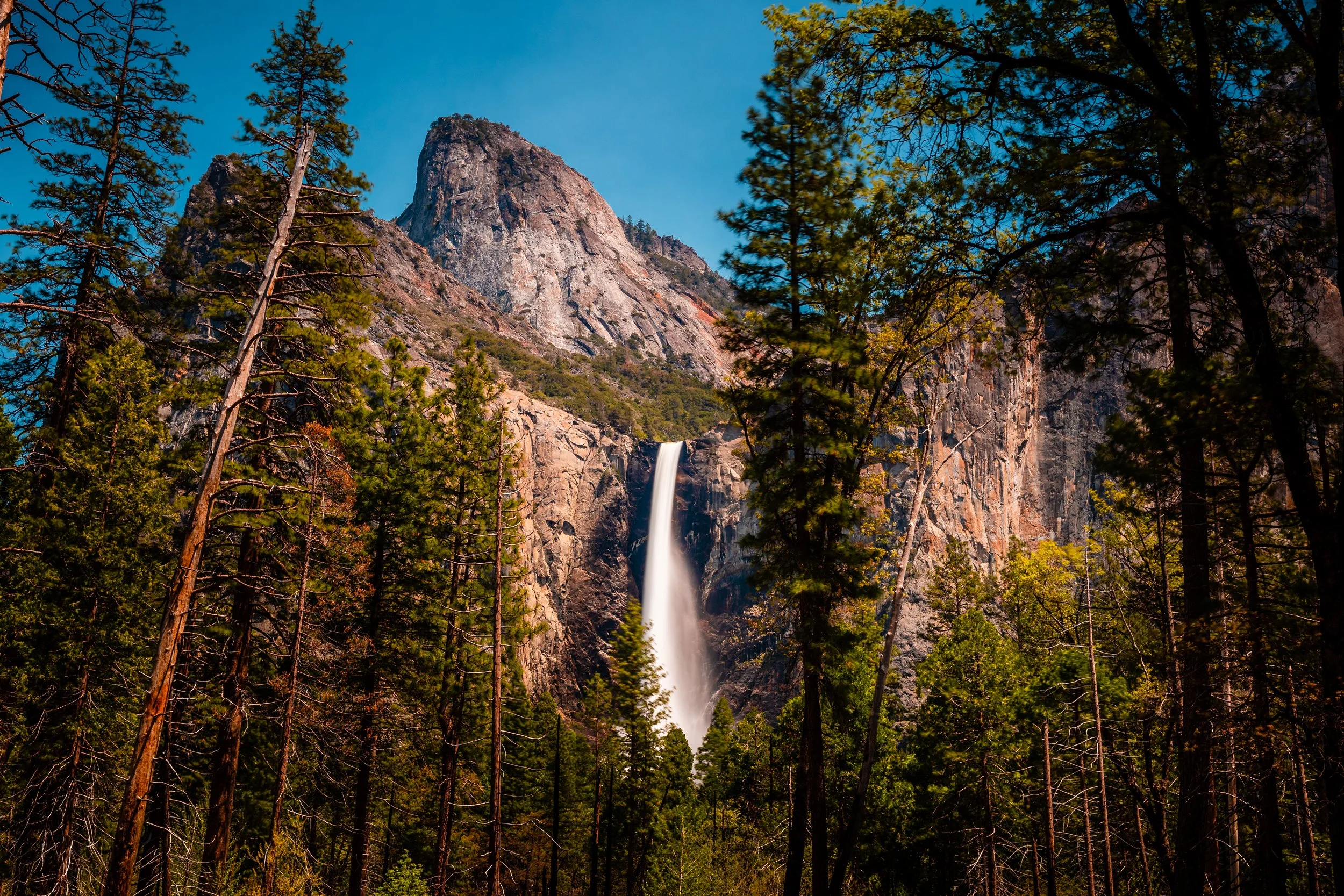Yosemite National Park-157.jpg