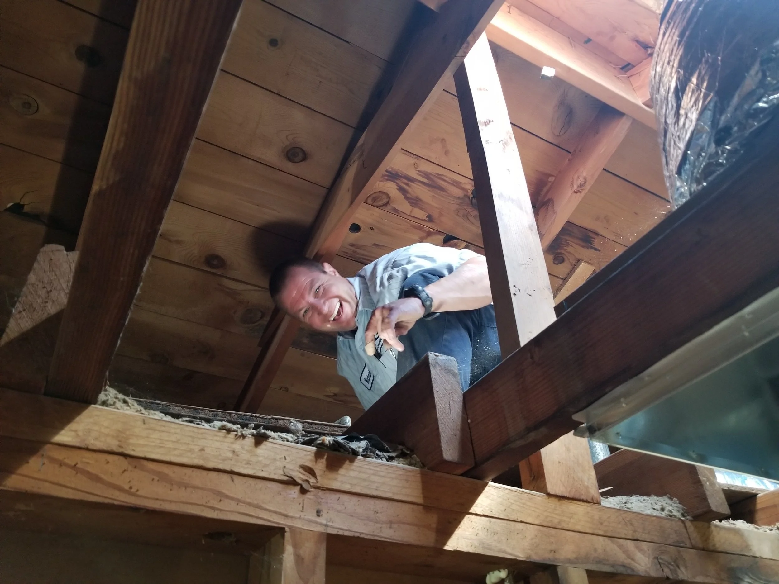 DonleyService.com with a smile