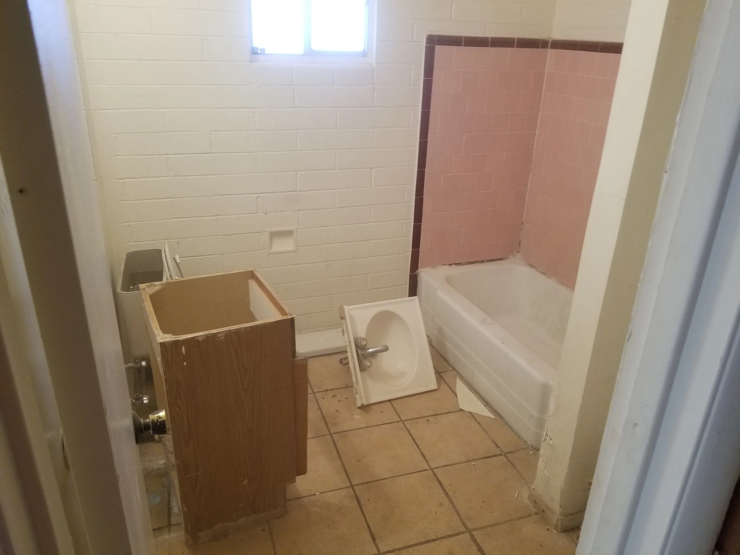 Bathroom demolition.