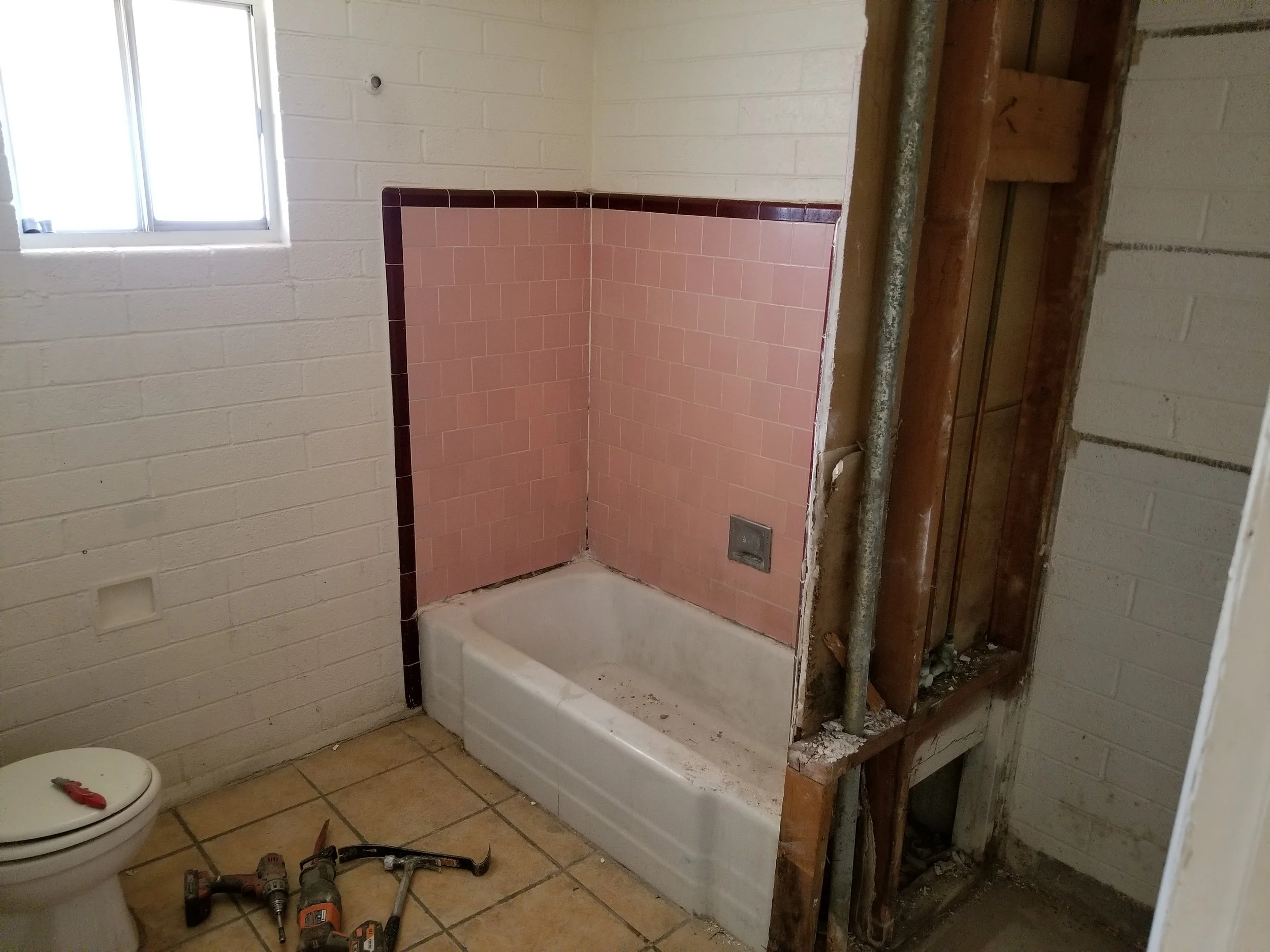 Bathroom demolition.