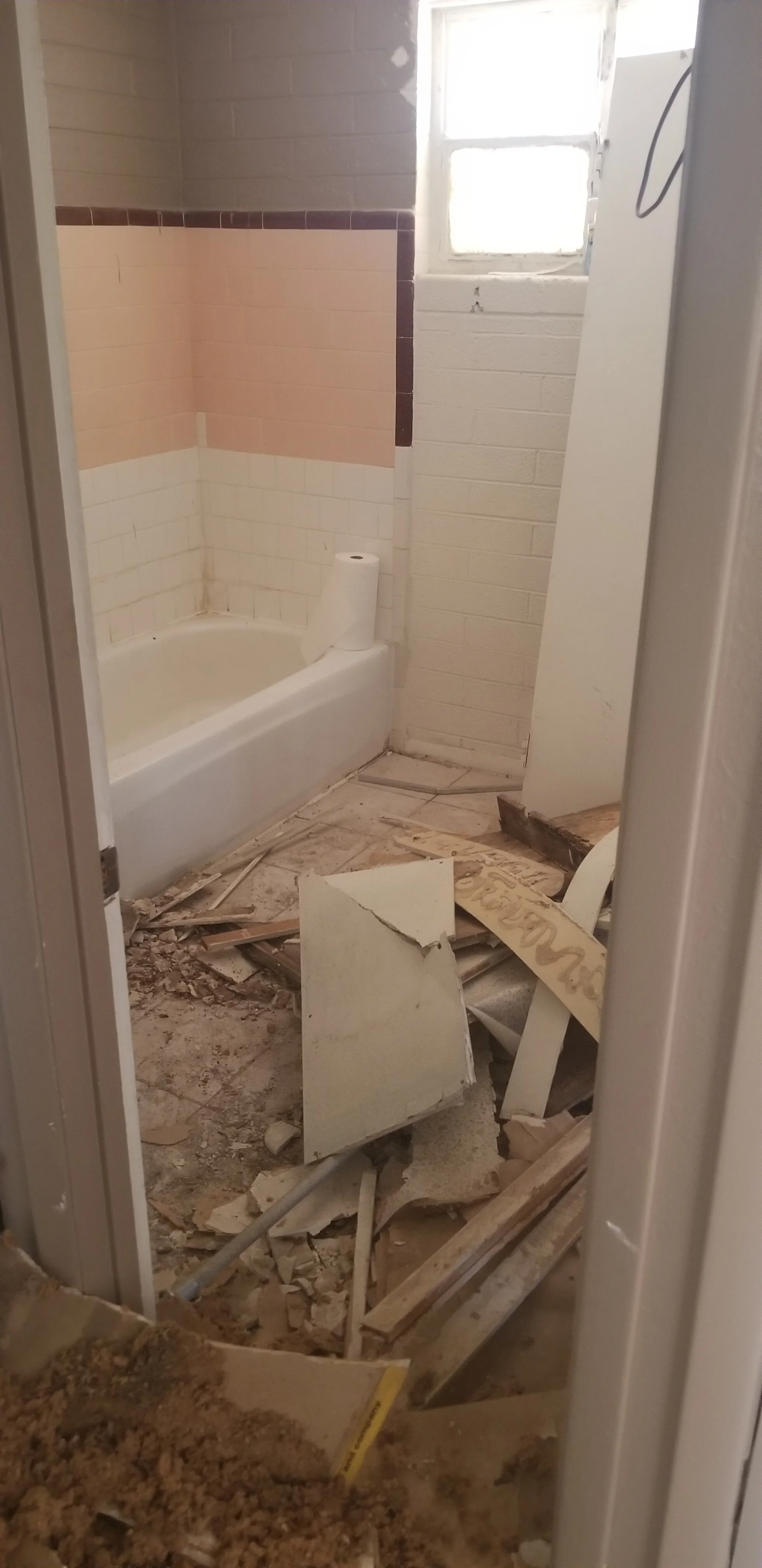 Bathroom demo