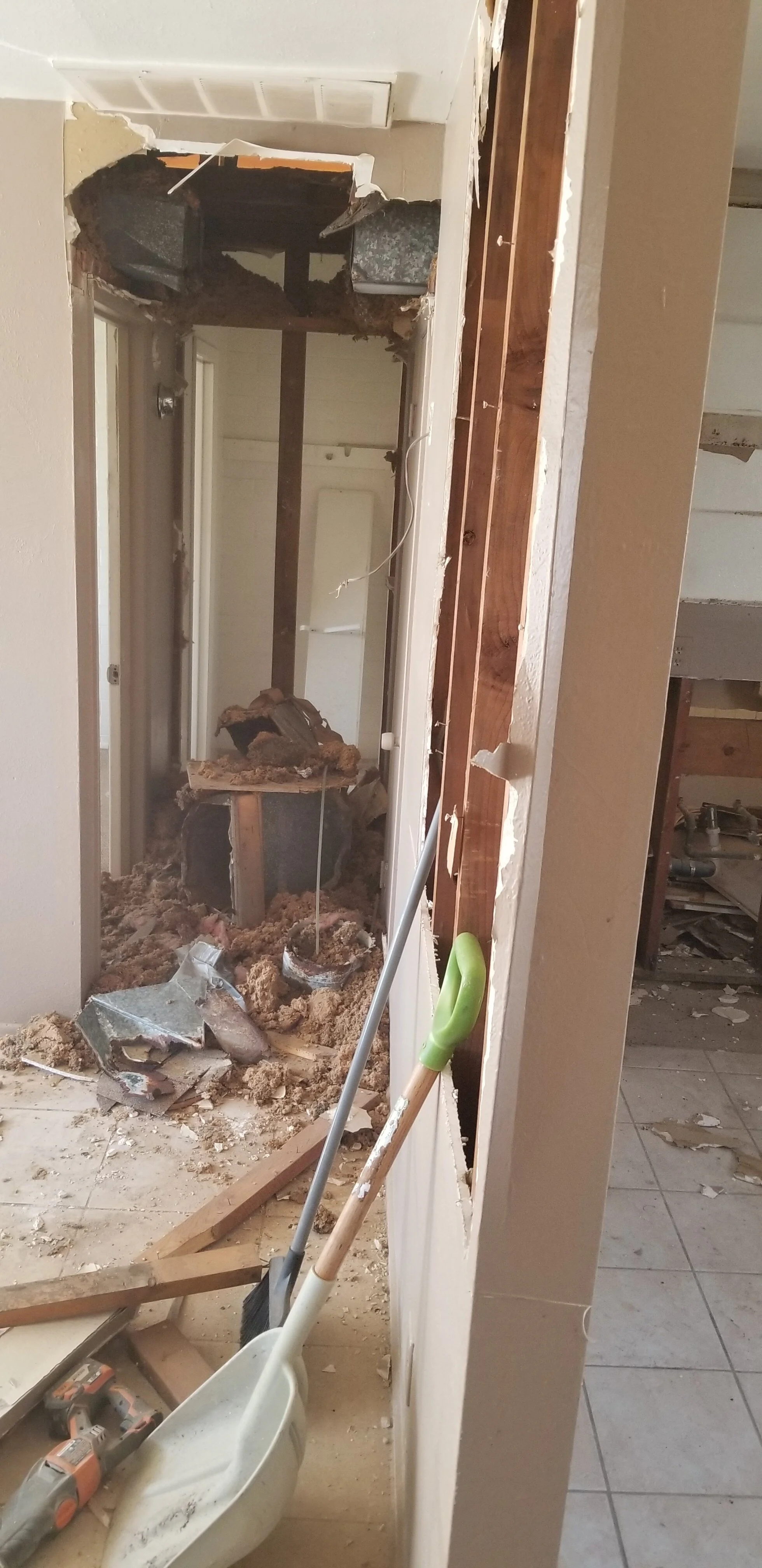 Hall demo