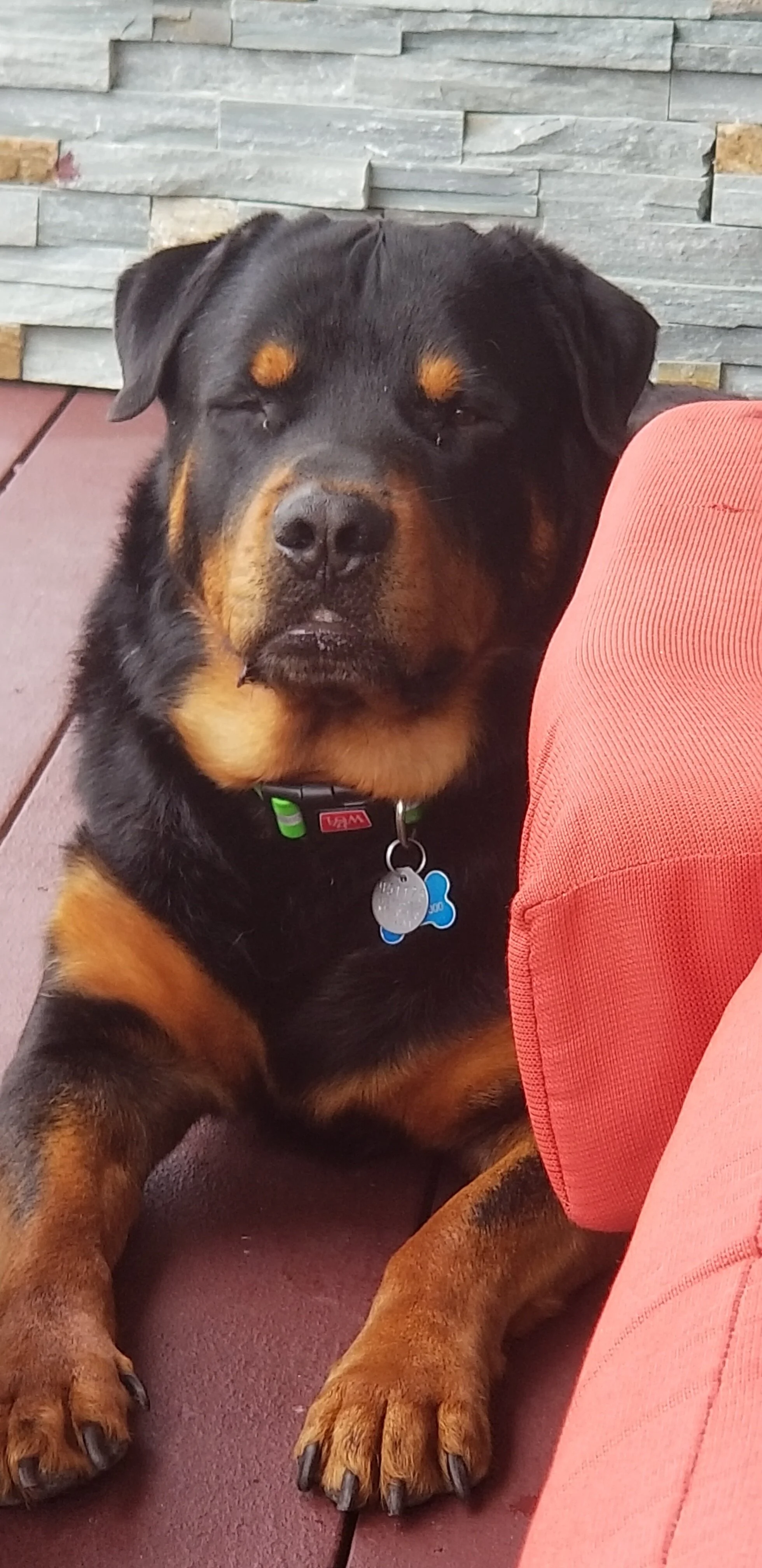 Titus