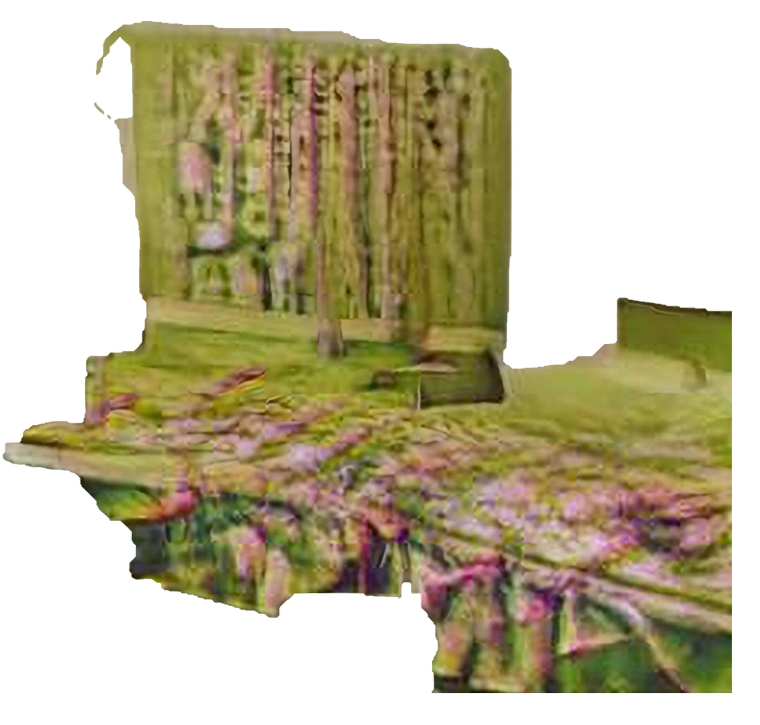 Texture 1 - texture.JPG