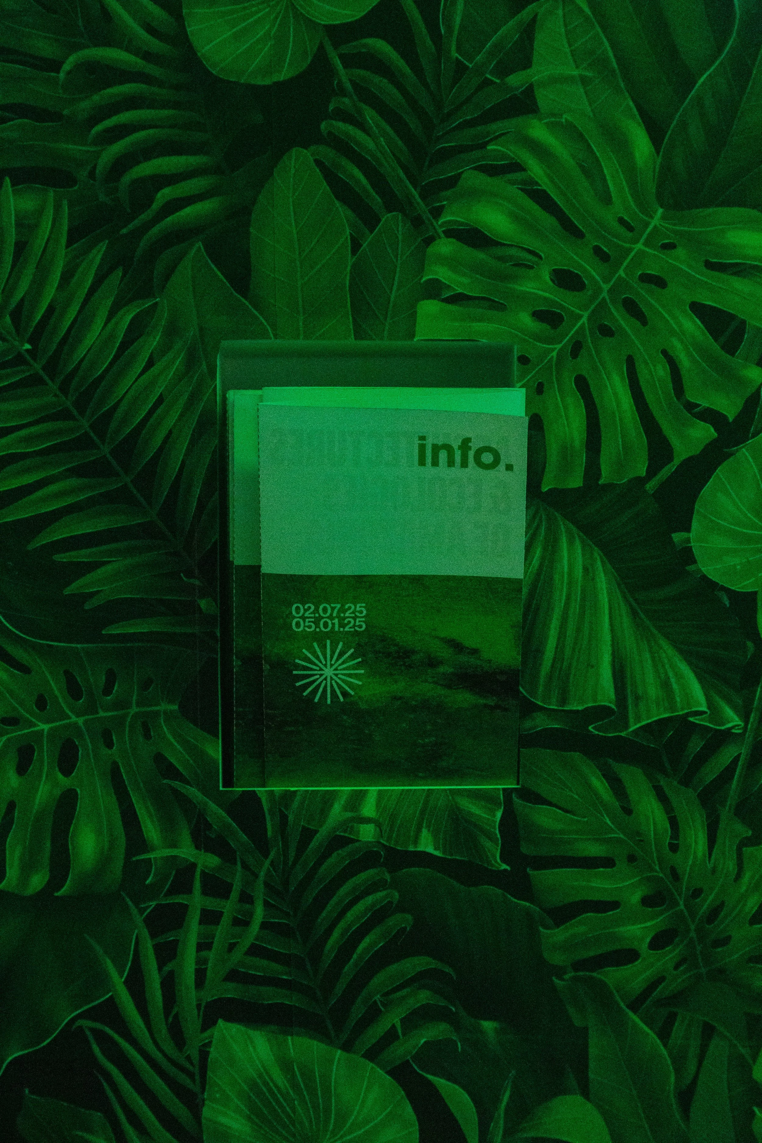 009.jpg