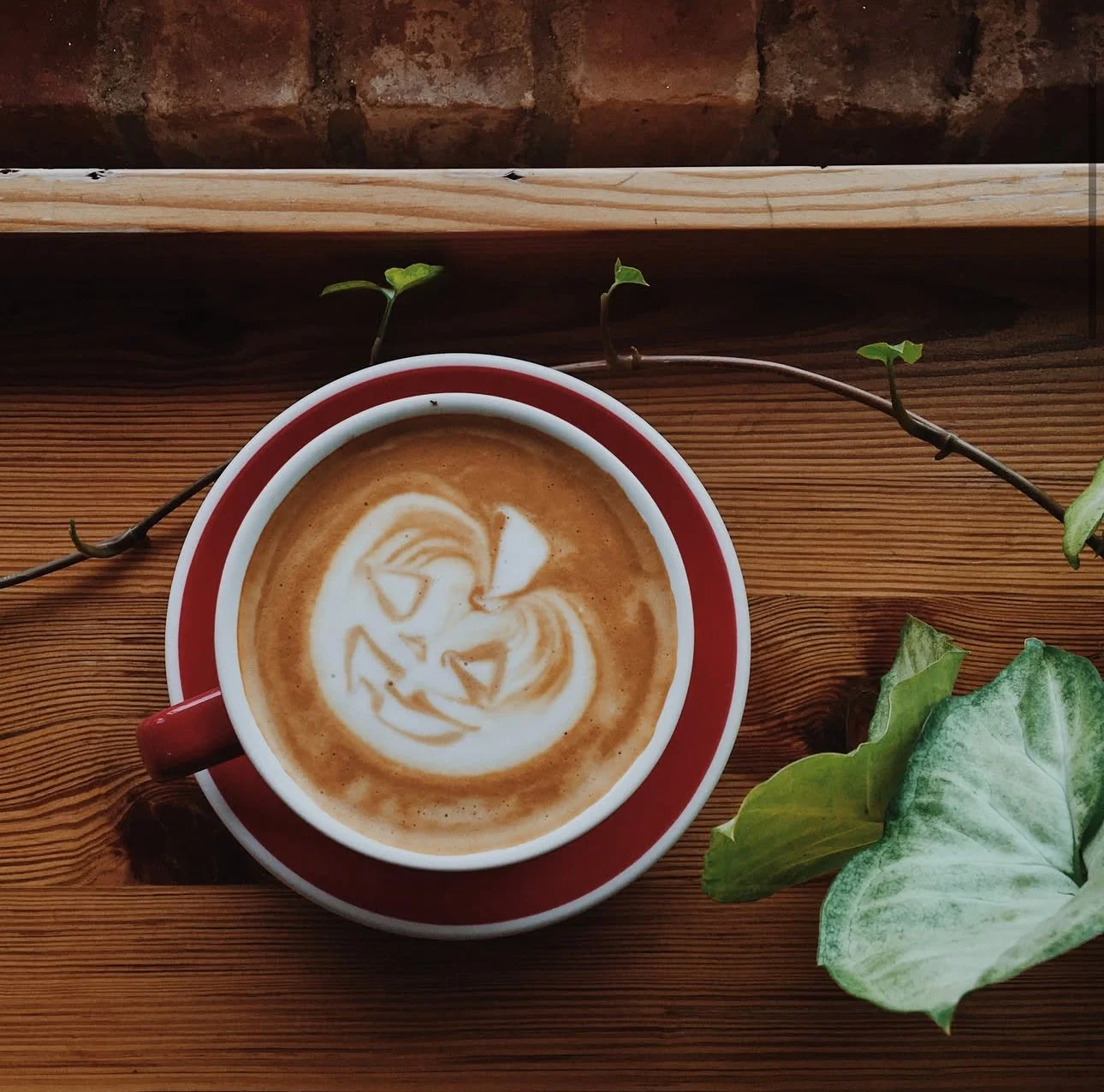 Need to warm your bones?
Our lattes and fresh roasts from Independent Bean Roasters are brewing up all the cozy fall vibes.
It’s the kind of magic that’ll wake the dead.