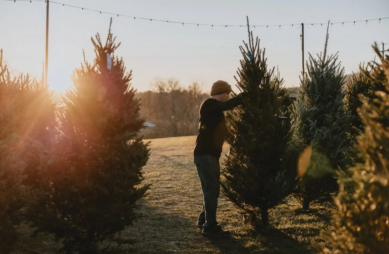 Jeter Mountain Farm is open for three special Christmas Weekends, complete with Christmas tree hunting, wagon rides, hot cider, holiday treats, and all the cozy seasonal magic they&rsquo;re known for. If picking out a tree is part of your family trad