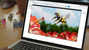 AUTODESK | Hamburger Catapult