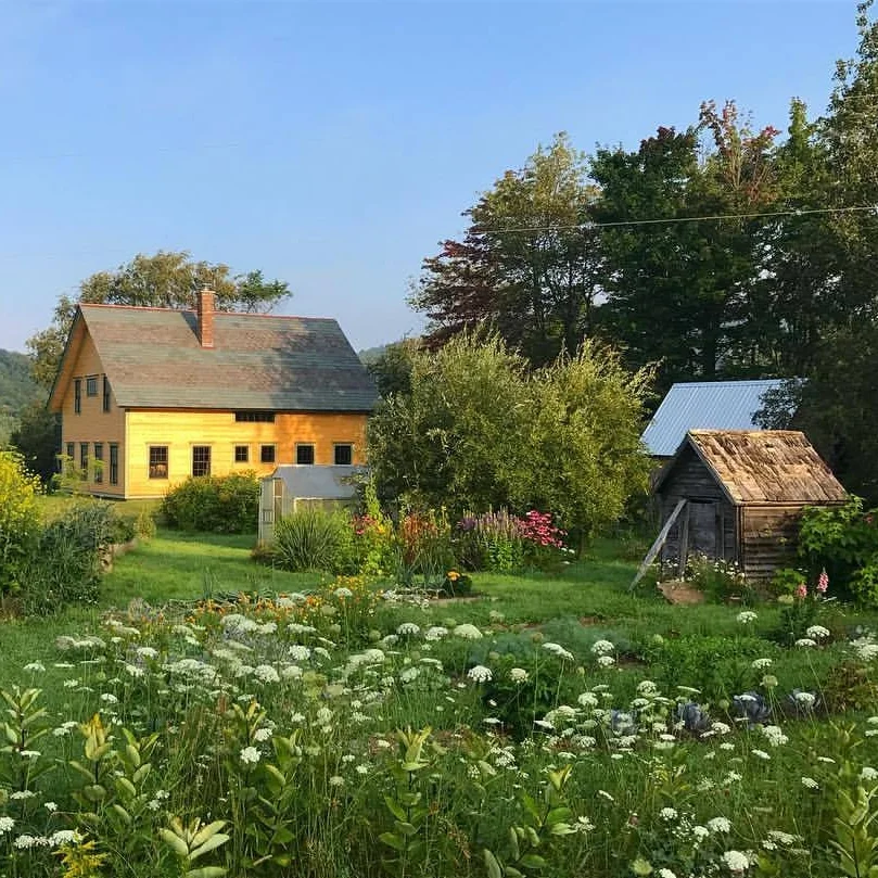 Visit a medicinal herb farm, wander through the medicine gardens at our homestead, walk softly through the sun-dappled forest with a harvesting basket on your arm ... spend time in the world of the plants and animals, and feel yourself at home.