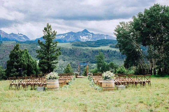 wilson background.jpg