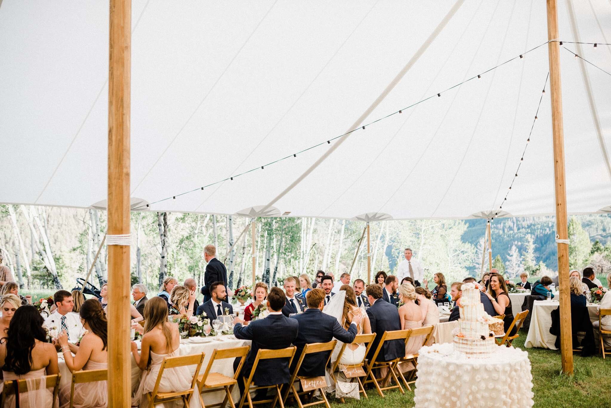 golden-ledge-telluride-colorado-wedding-ryan-flynn-photography-reception-0054.jpg