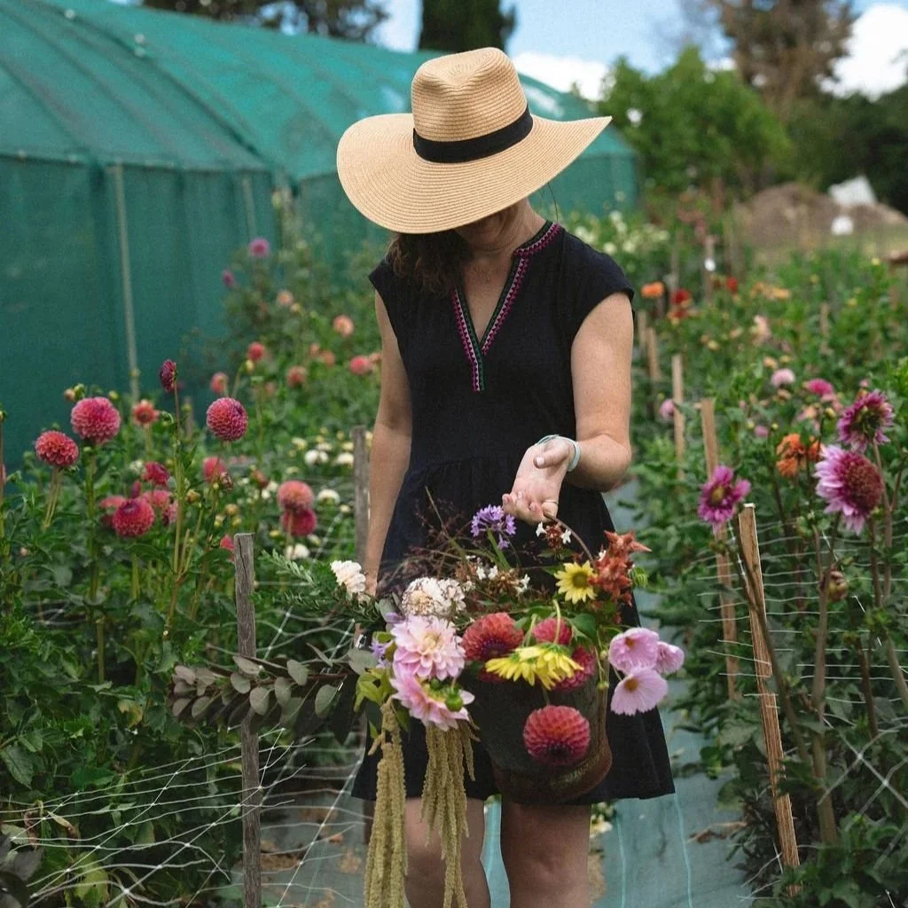 What's in Season? Your Guide to Fresh Flowers in Indianapolis