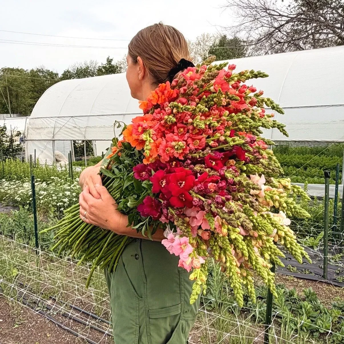 Meet Our Farmers