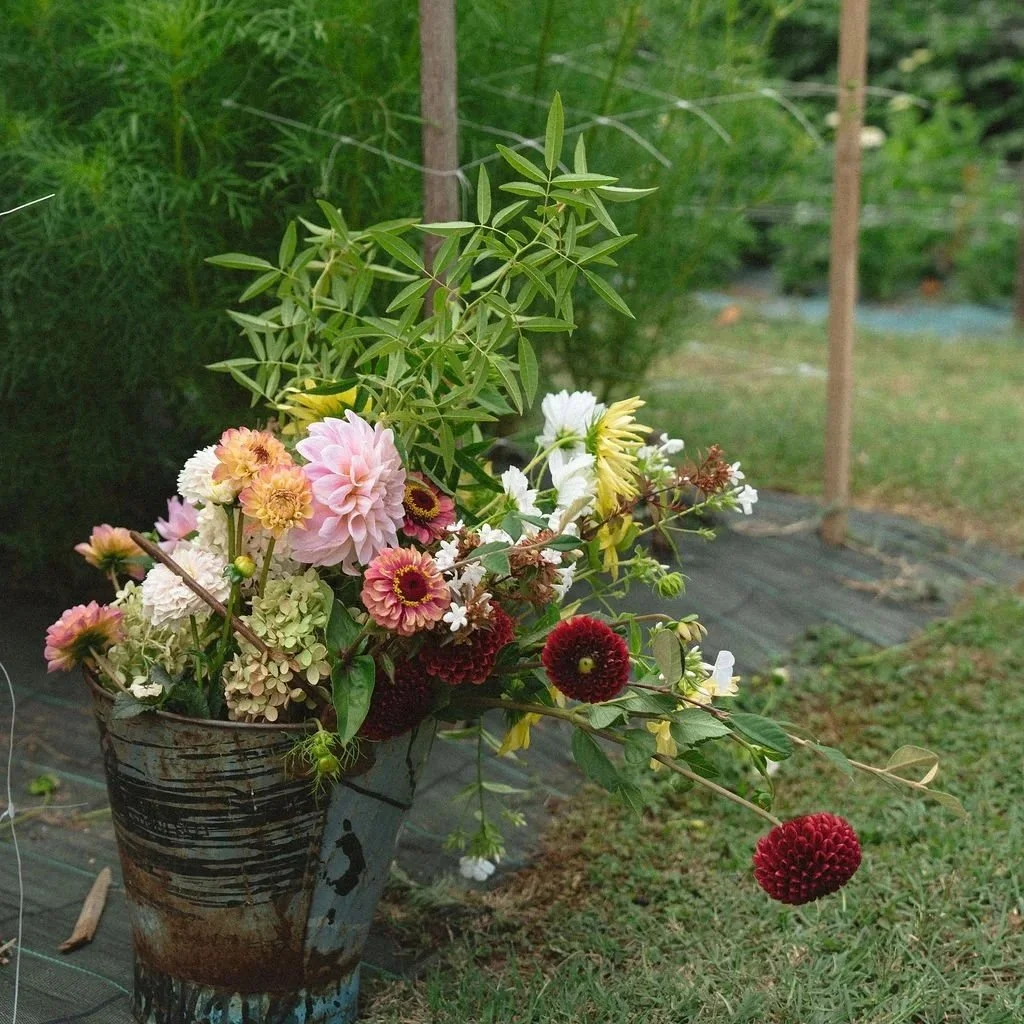 Bucket+of+local+flowers.jpg