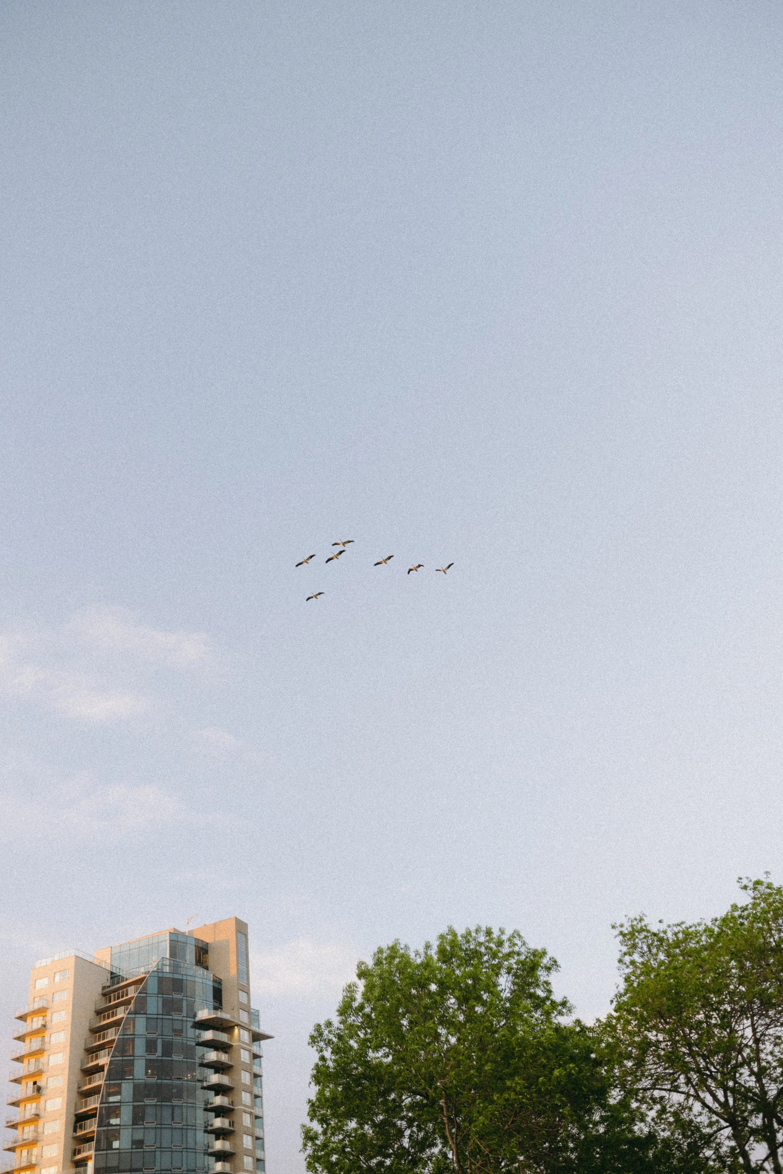DSC_8694.jpg