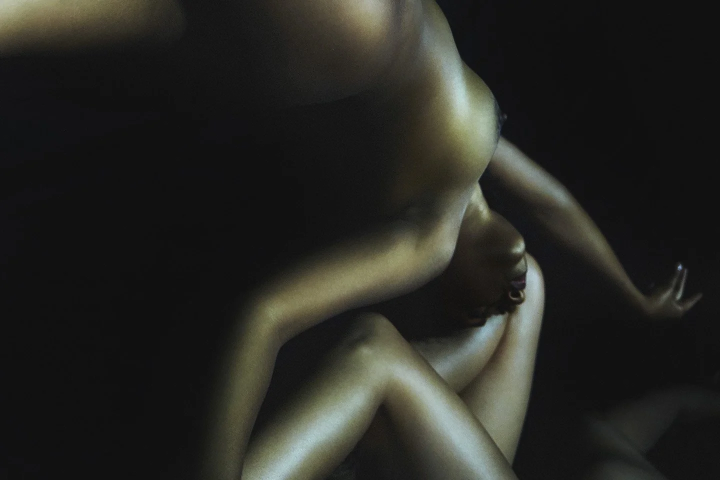 151010_EXHIBITION3_AMRITA&VANESSA_3395 1.jpg