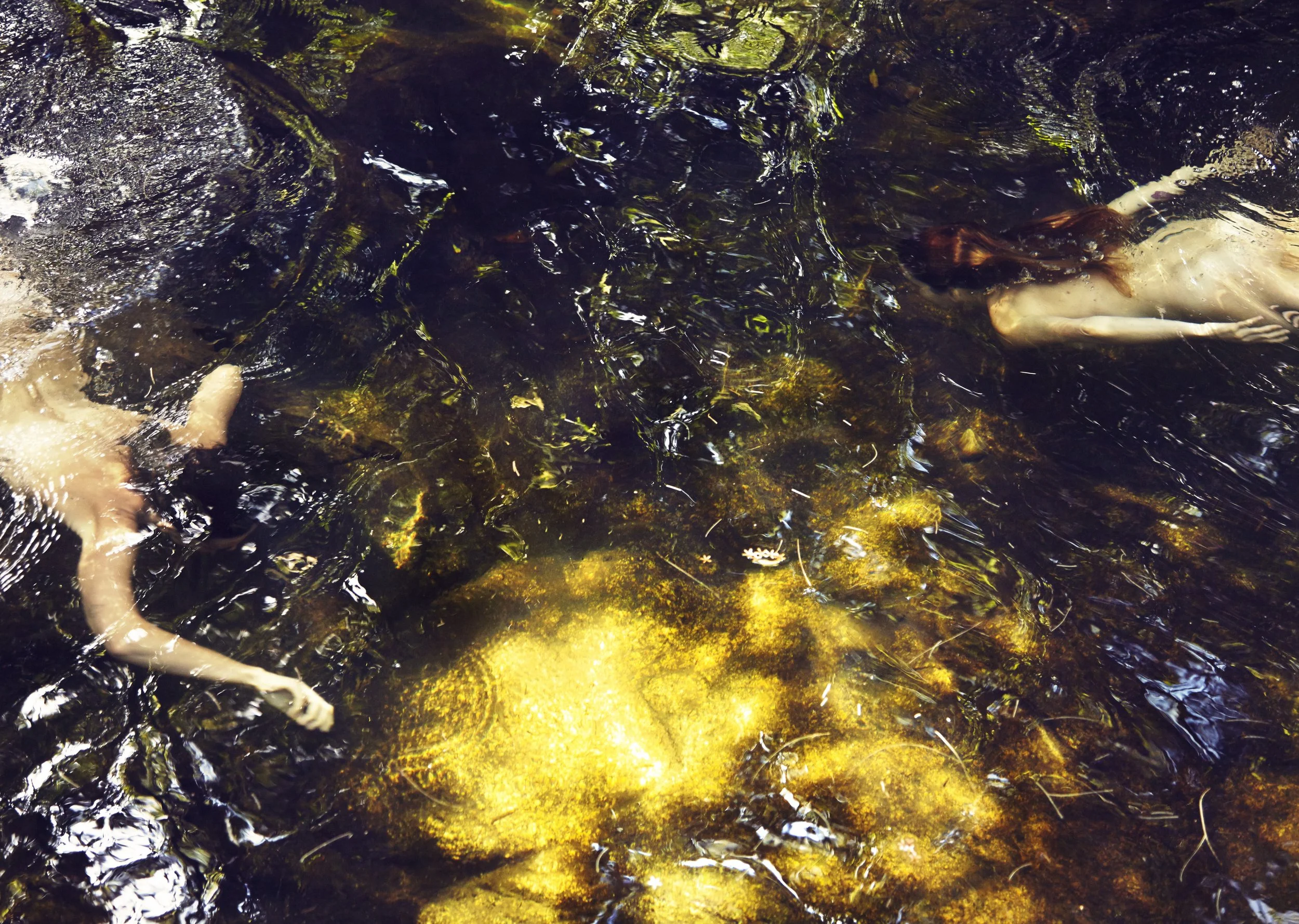 SYLVE COLLESS HARMONIA 9.jpg