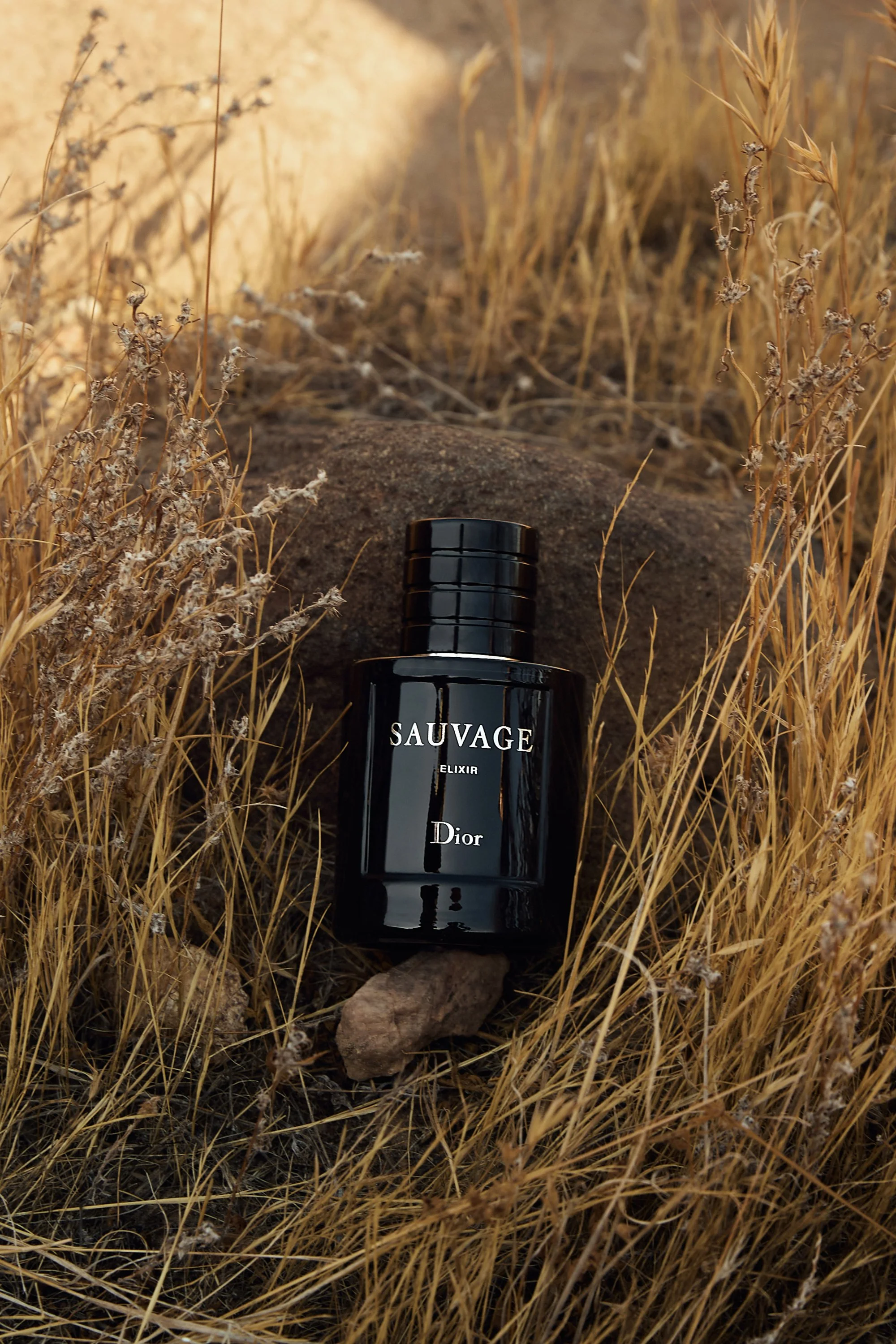 250808_DIOR_05_felix_ 24 retouched.jpg