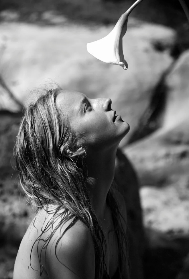 Screenshot 2026-02-20 at 5.22.41 PM.png