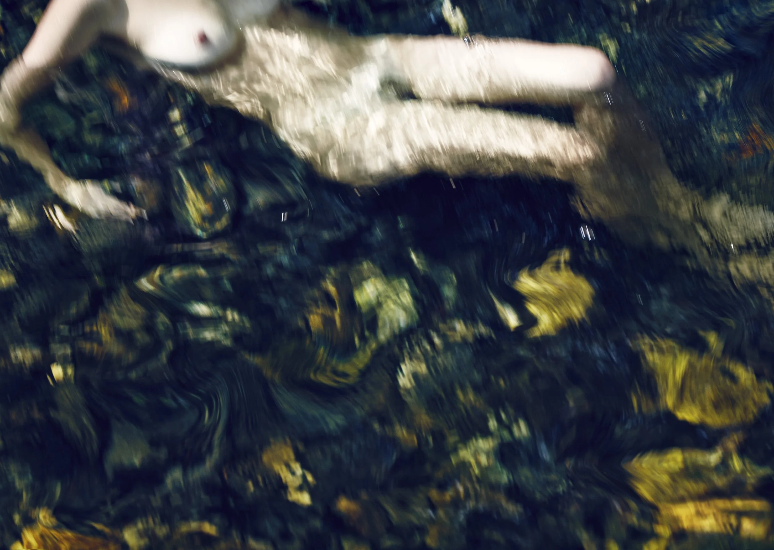 SYLVE COLLESS HARMONIA 1.jpg