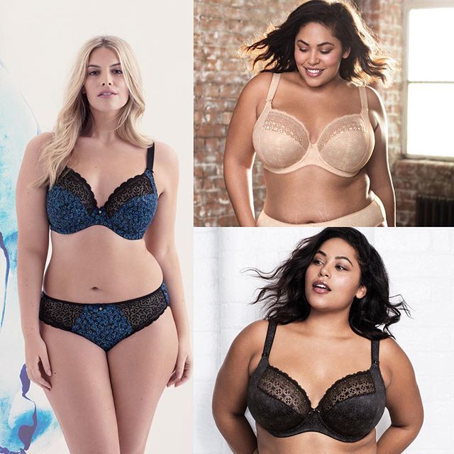 Do you love the Jodi from @elomilingerie? It&rsquo;s definitely one of our fave fashion styles. If it works well for you, we have some great news: this same cut will be available in basics, renamed as the Kim! We will be having a trunk show and pre-o