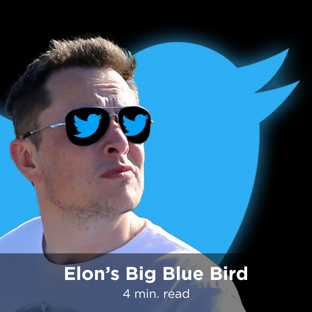 Elon's Big Blue Bird