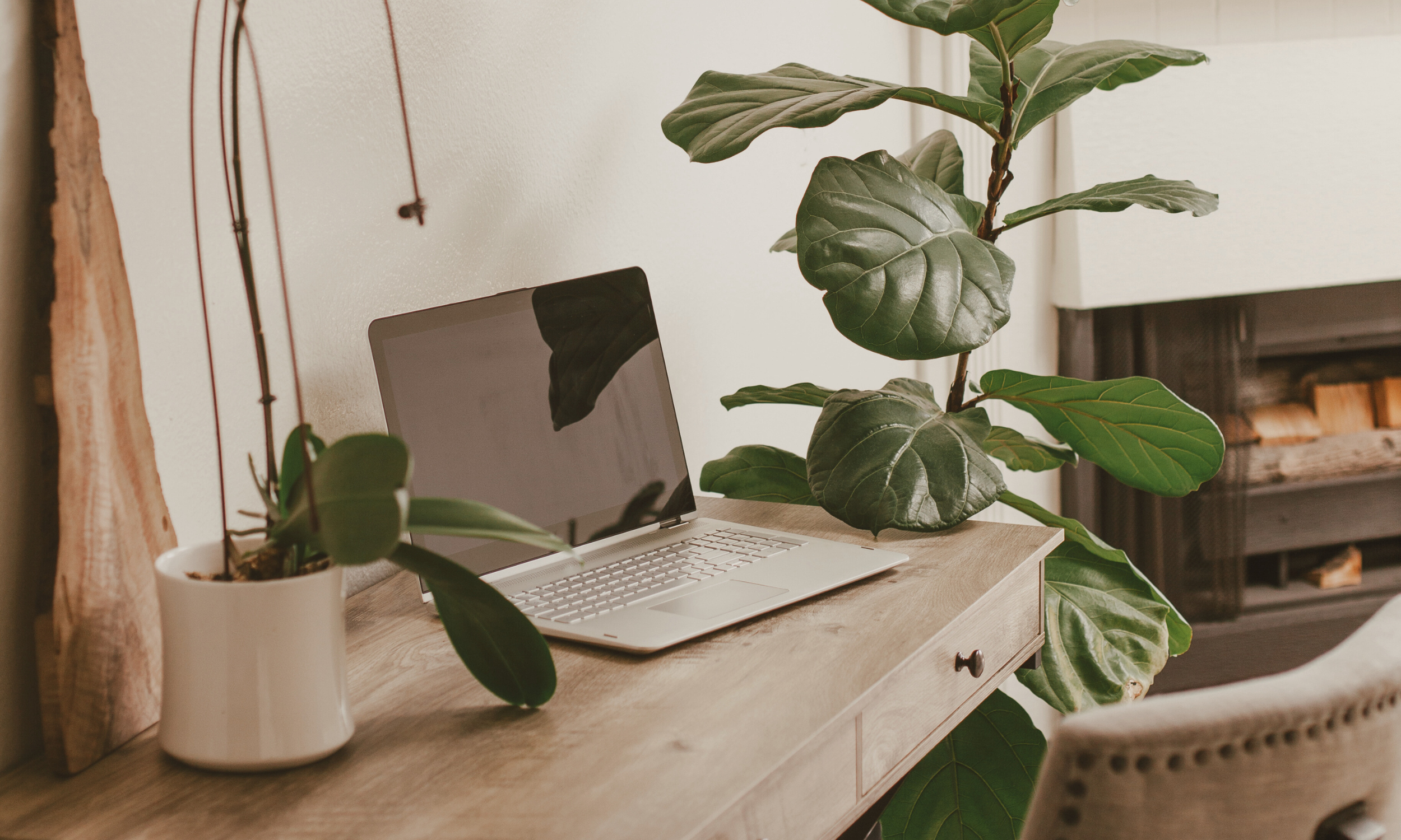 A cozy office with a laptop on the desk that is used to read articles from a highly sensitive person blog.