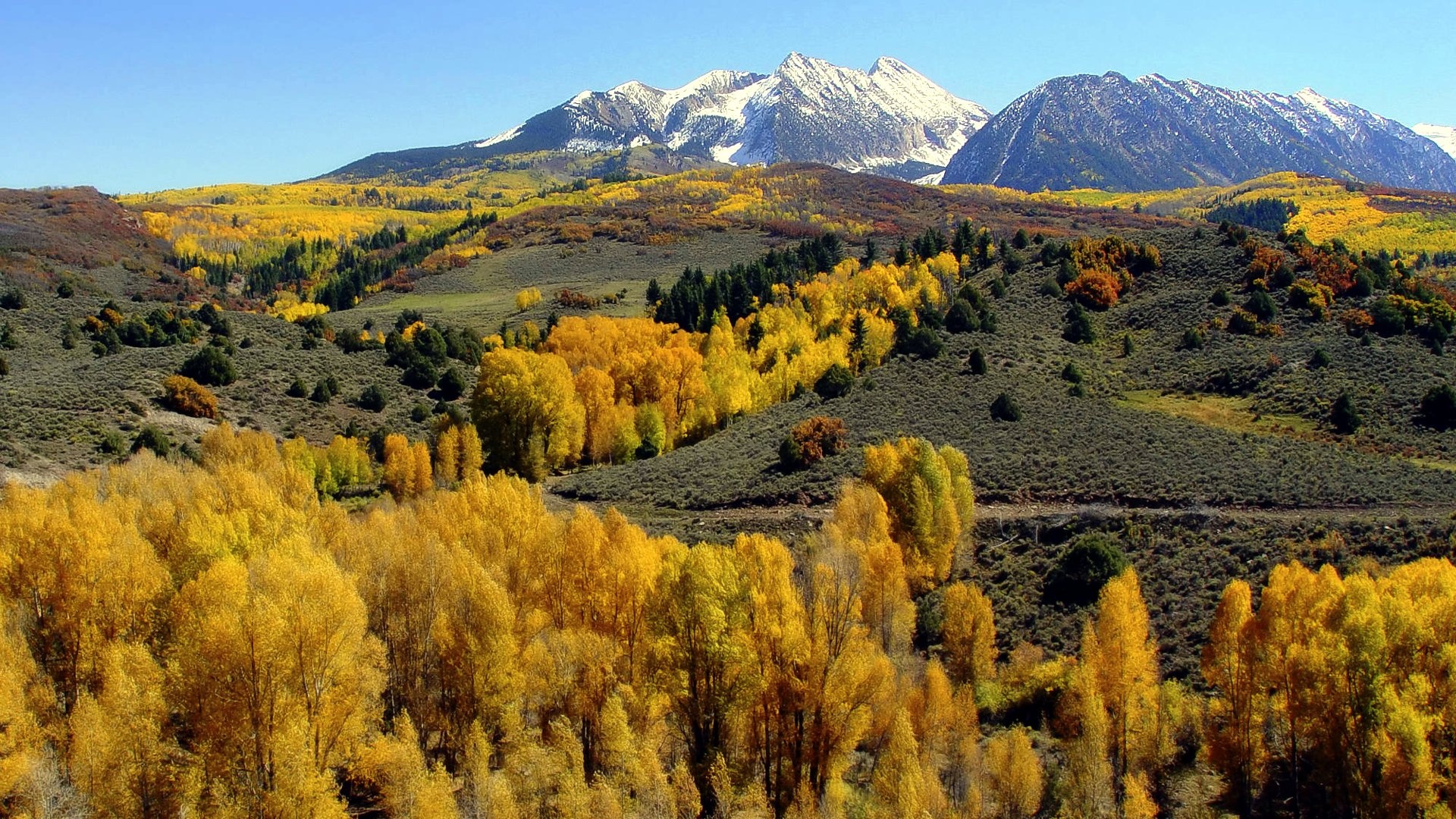 Aspen Vista copy.jpg