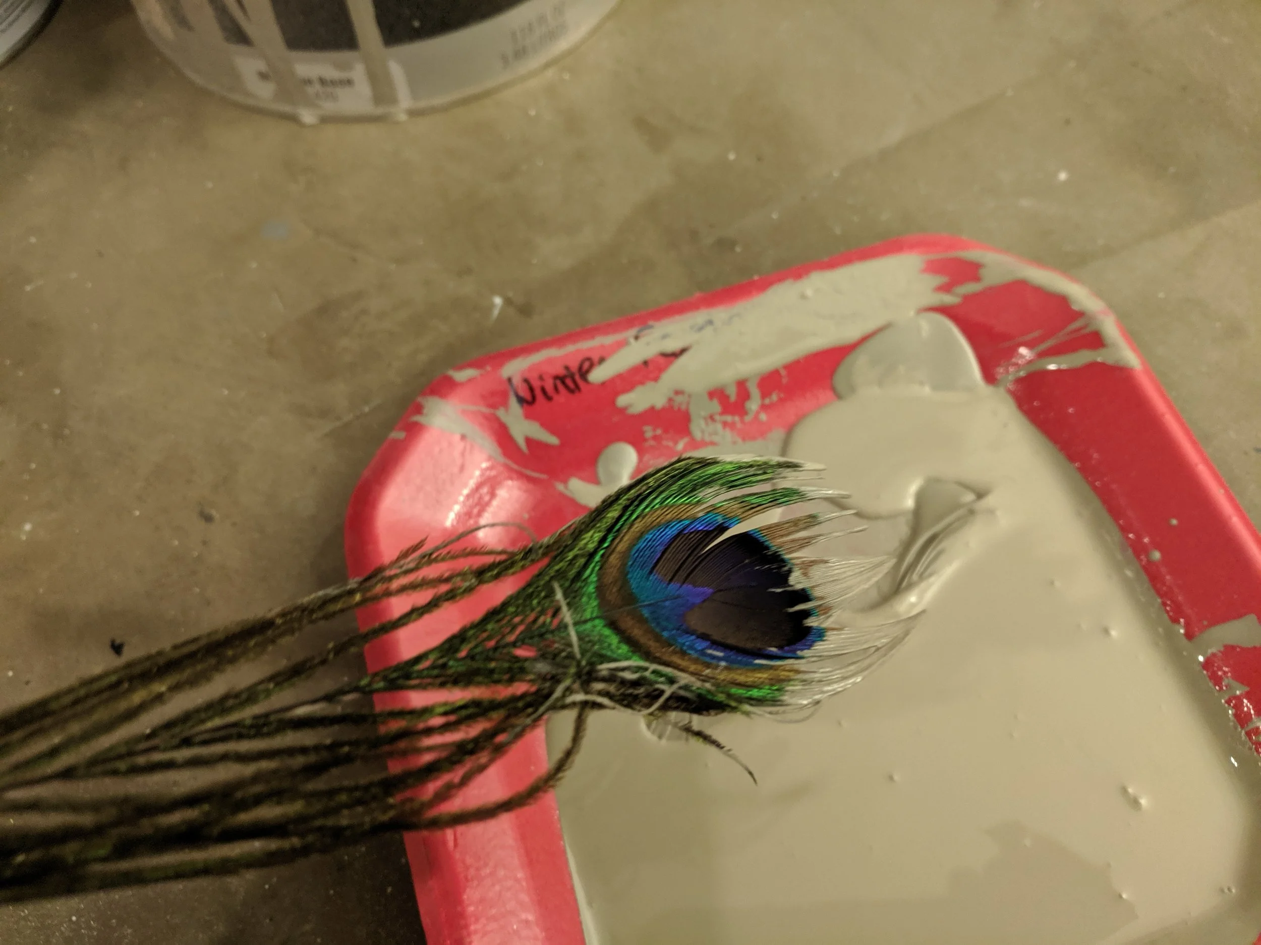 counter - peacoak feather in paint.jpg