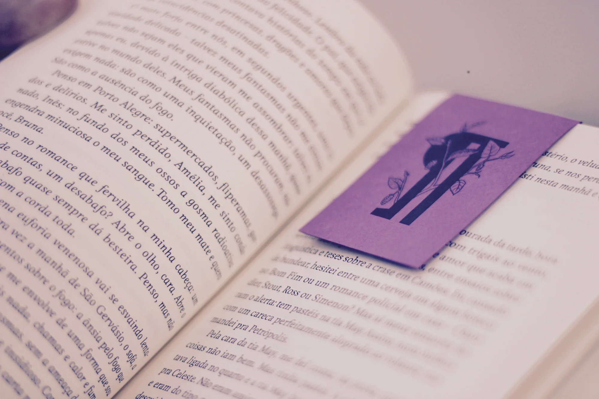 Livro, Revisão de Texto, Amora Consultoria Linguística.