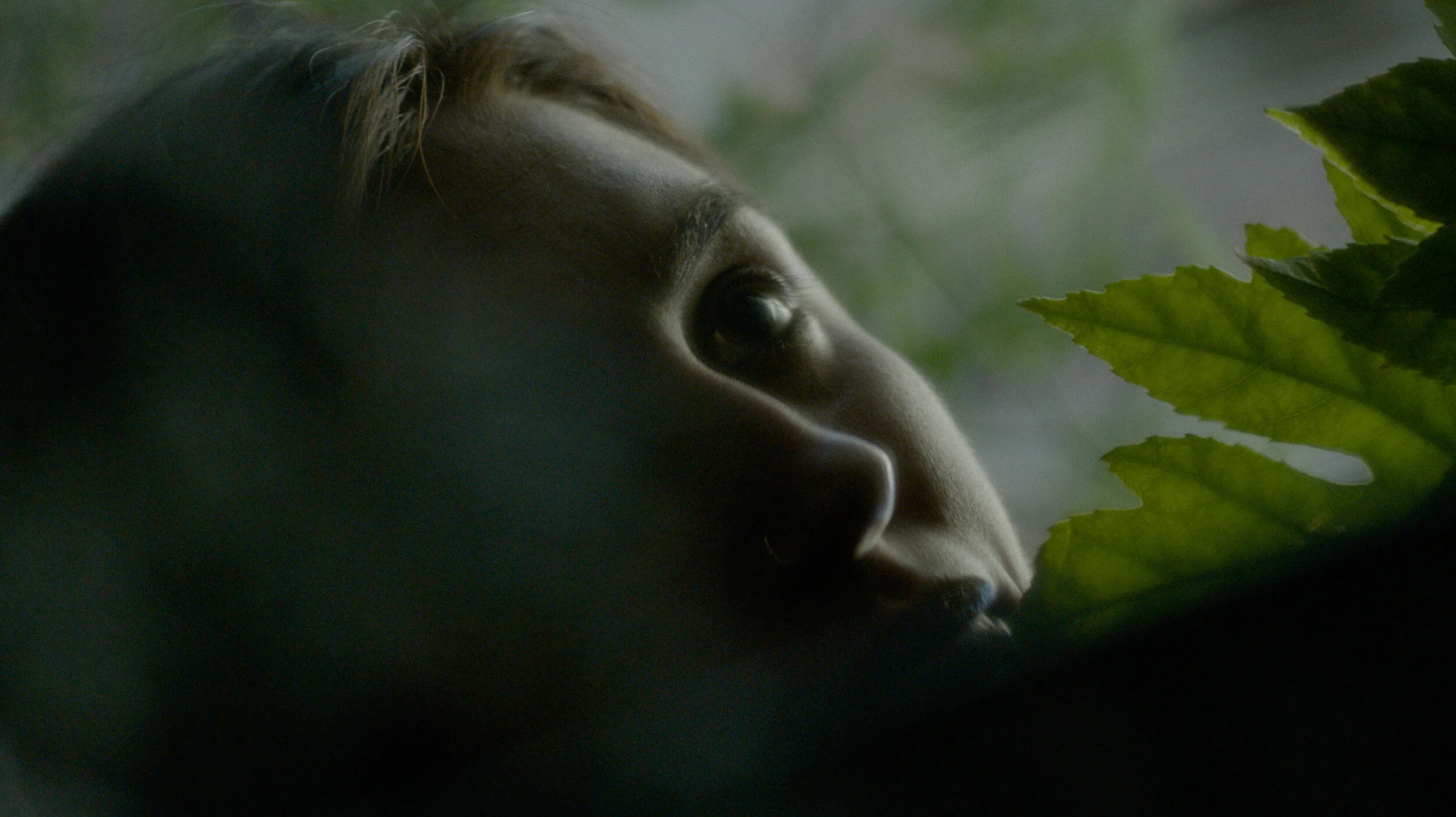 Screen Shot 2019-04-03 at 7.34.21 PM.JPG