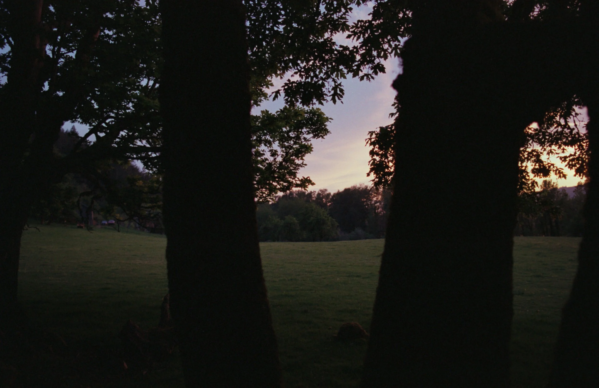 Image (55).jpeg