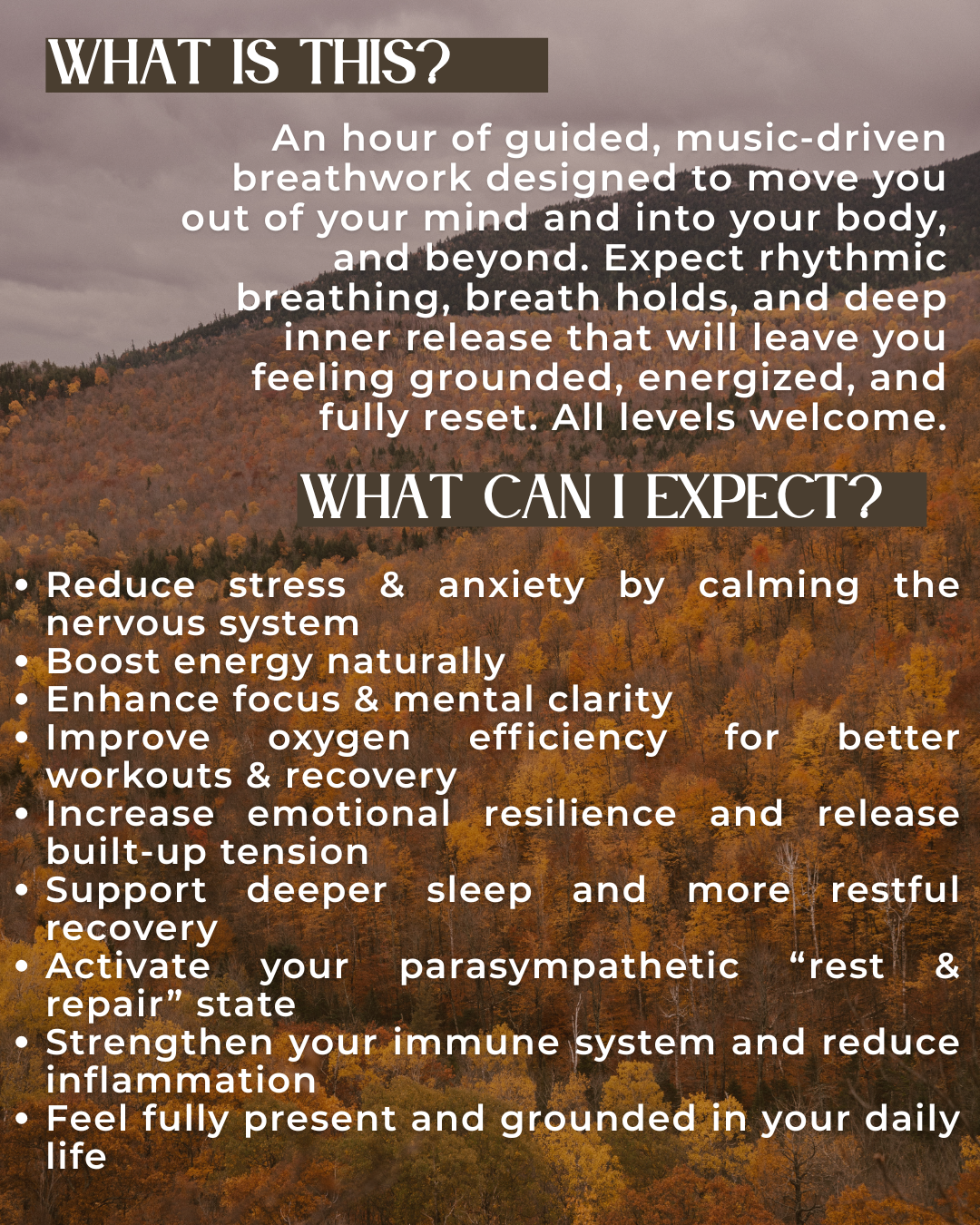 Breathwork Series with Aaron Mead