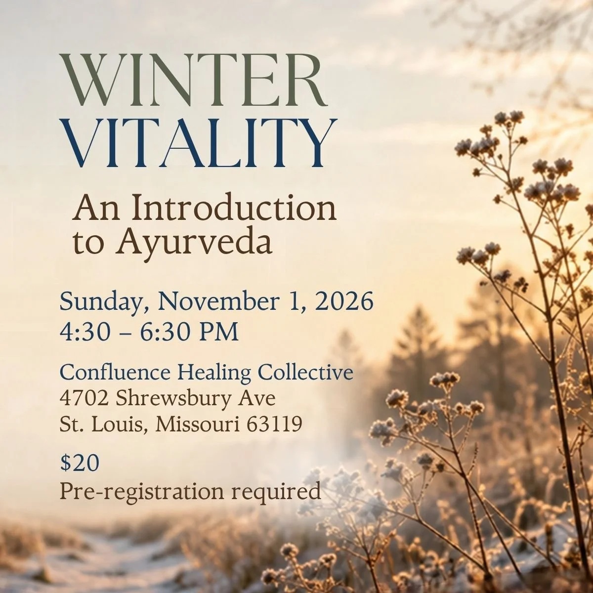 Winter Vitality: An Introduction to Ayurveda