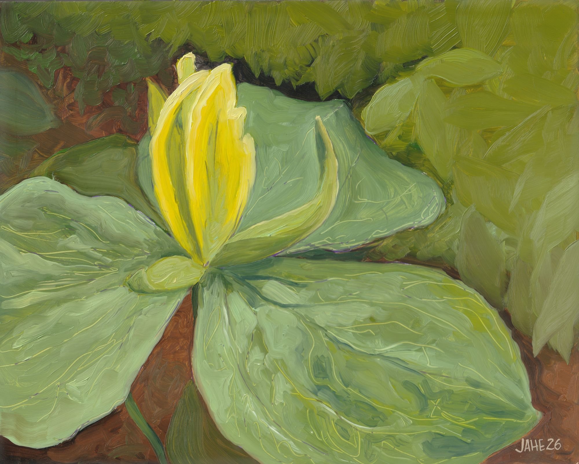 Yellow Trillium_web.jpg