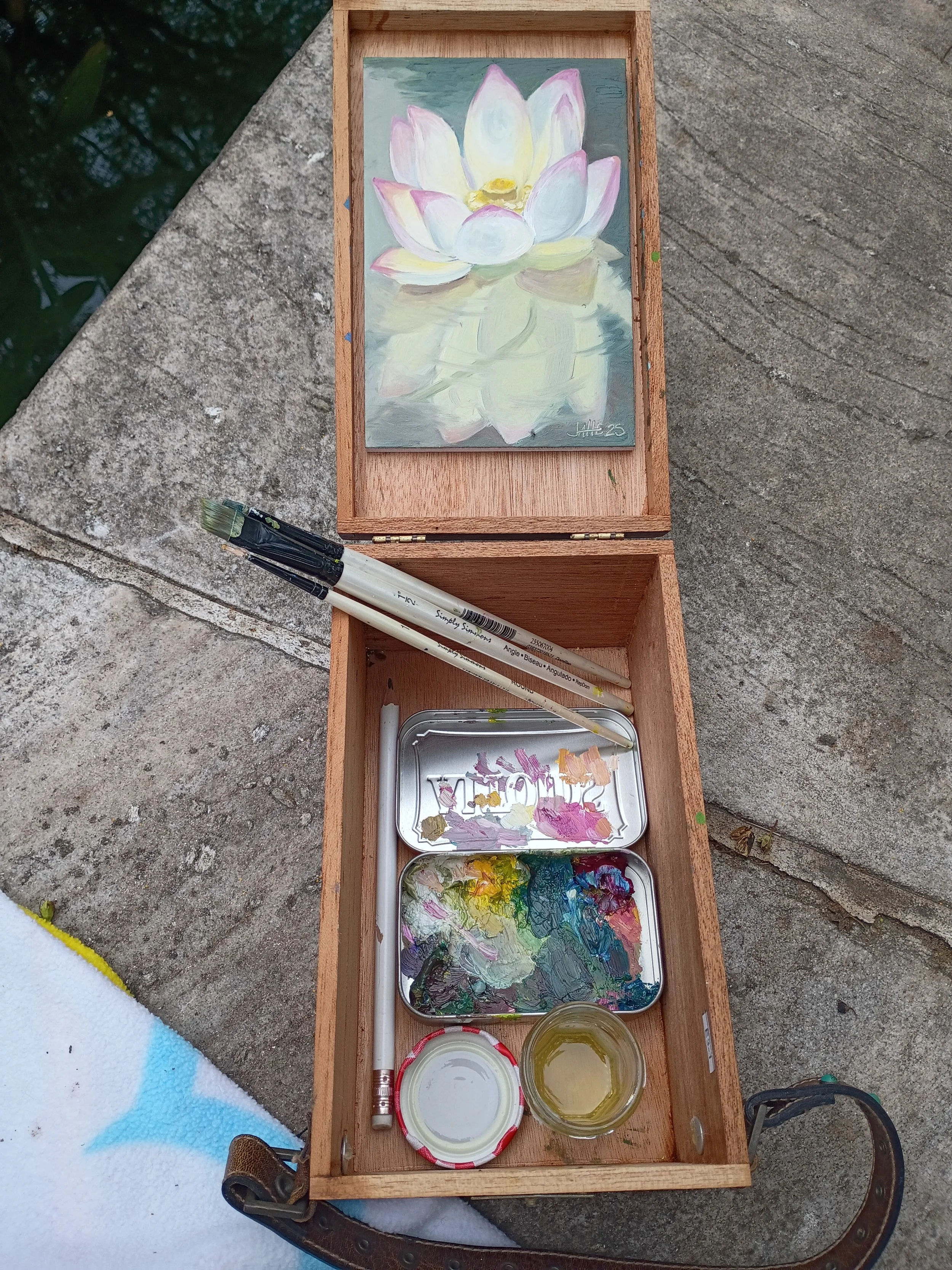 in situ lotus blossom.jpg