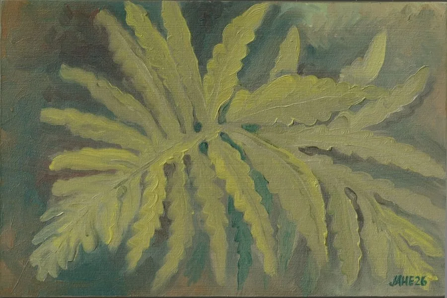 Sensitive Fern_web.jpg