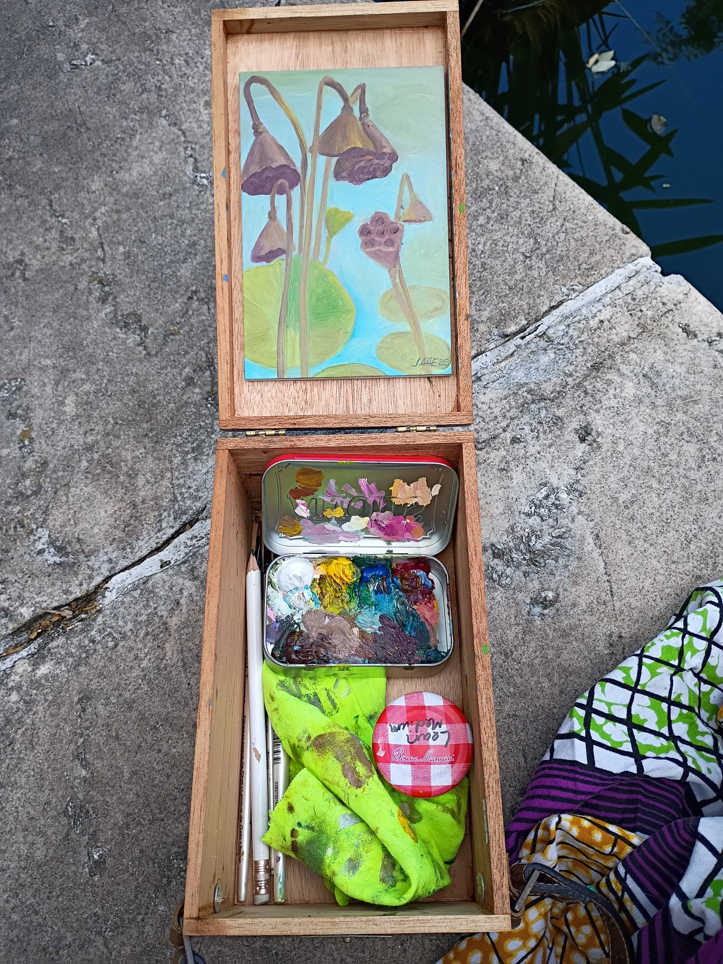 in situ lotus pods.jpg