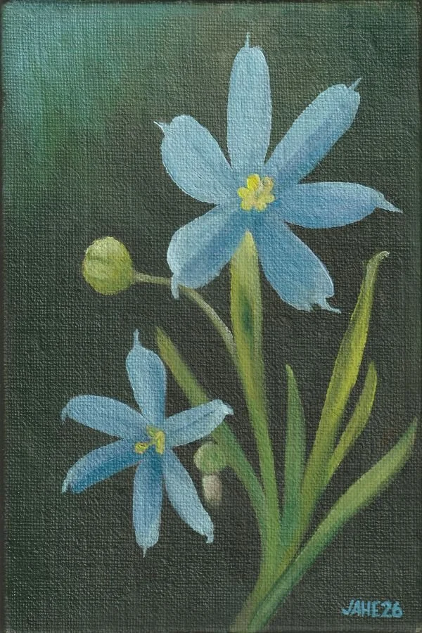Blue Eyed Grass_web.jpg