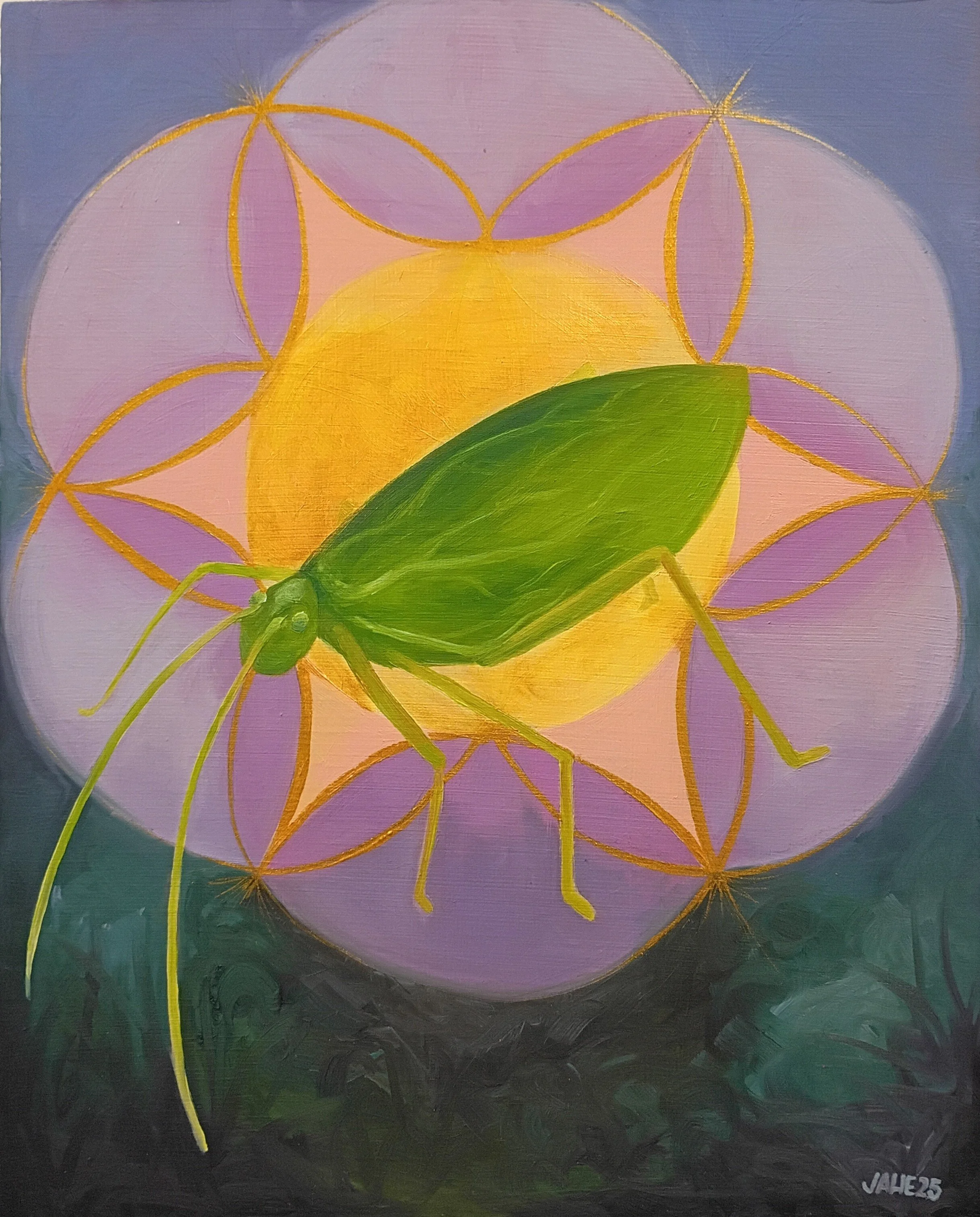 sounds of summer katydid.jpg