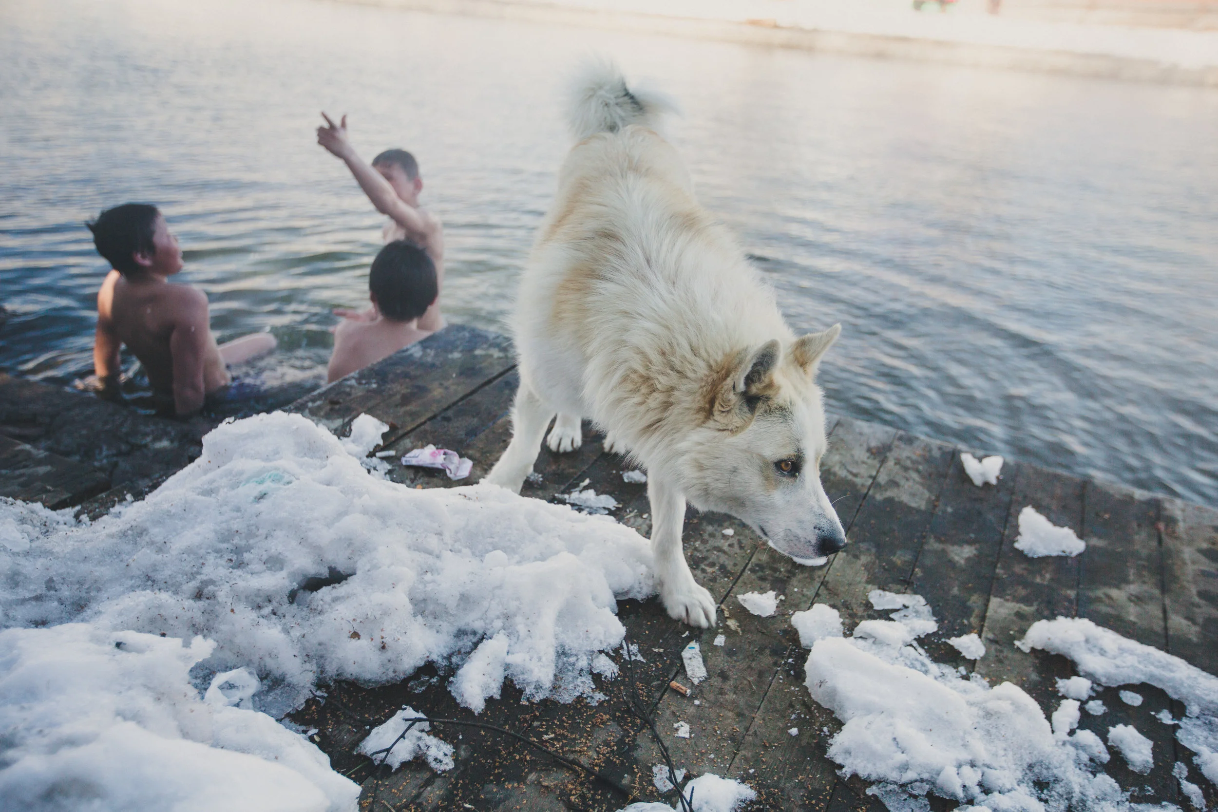 Children play in Esso's hot spring pool while a dog stays by the side. Photo: Robyn Penn. 